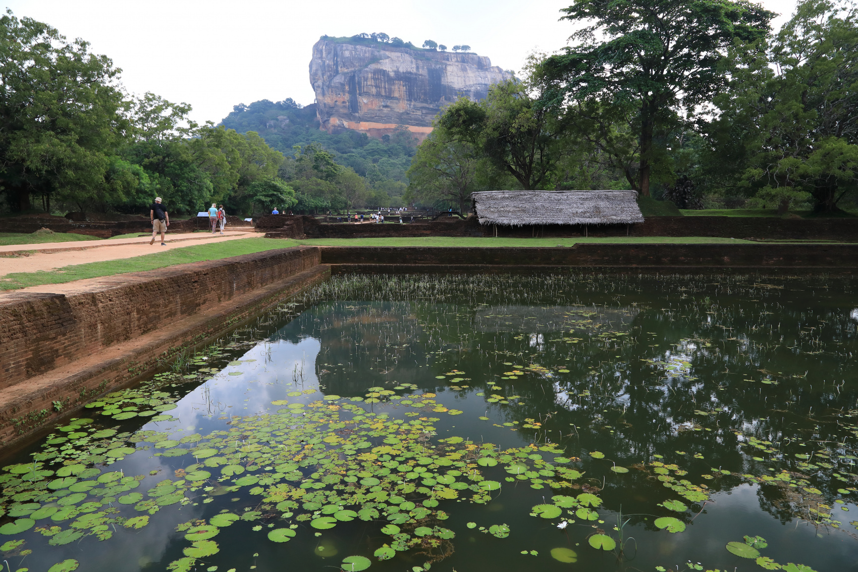 Экотрип на Шри-Ланку (39/86)