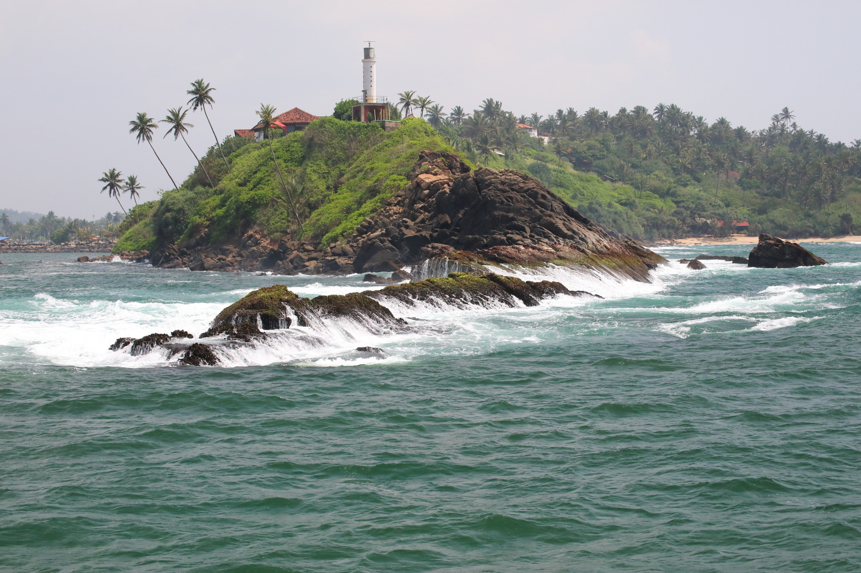 Экотрип на Шри-Ланку (59/86)