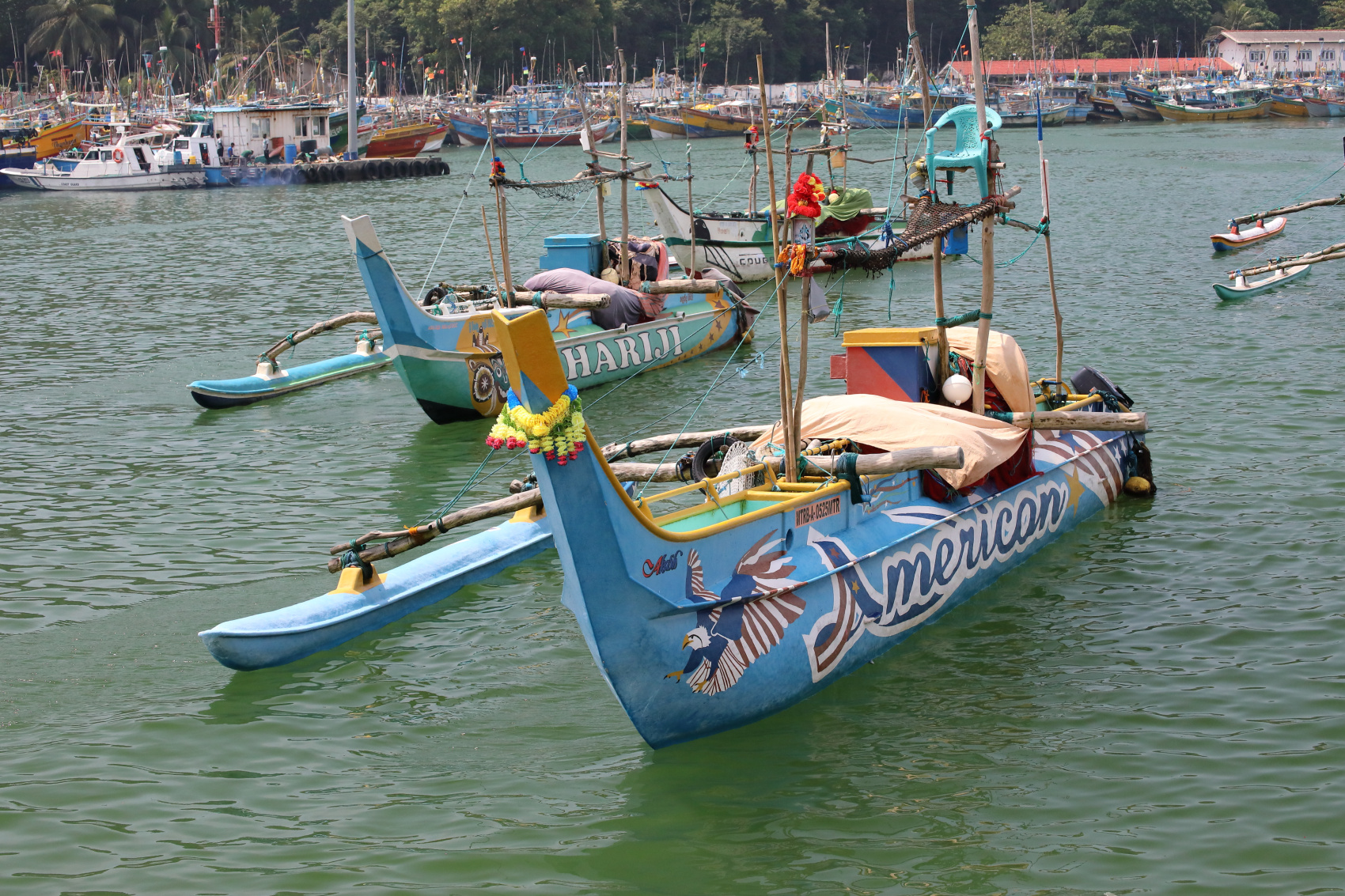 Экотрип на Шри-Ланку (61/86)