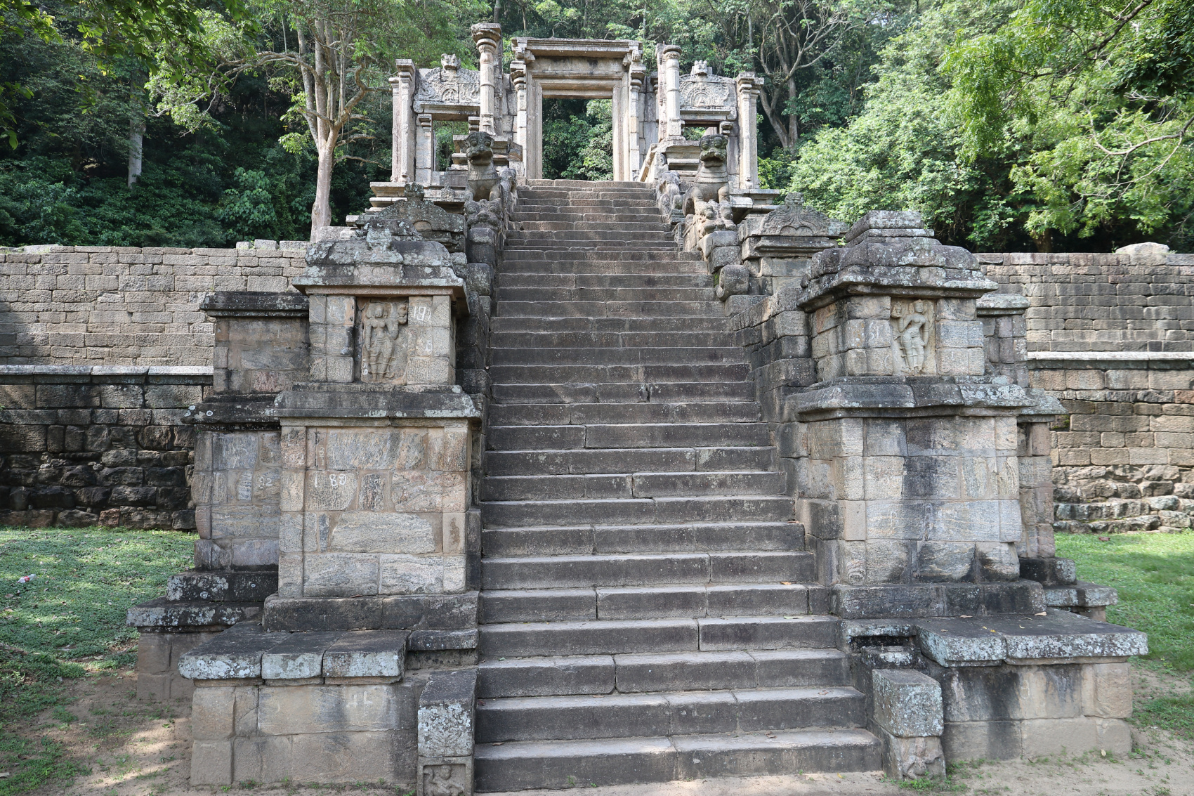 Экотрип на Шри-Ланку (56/86)