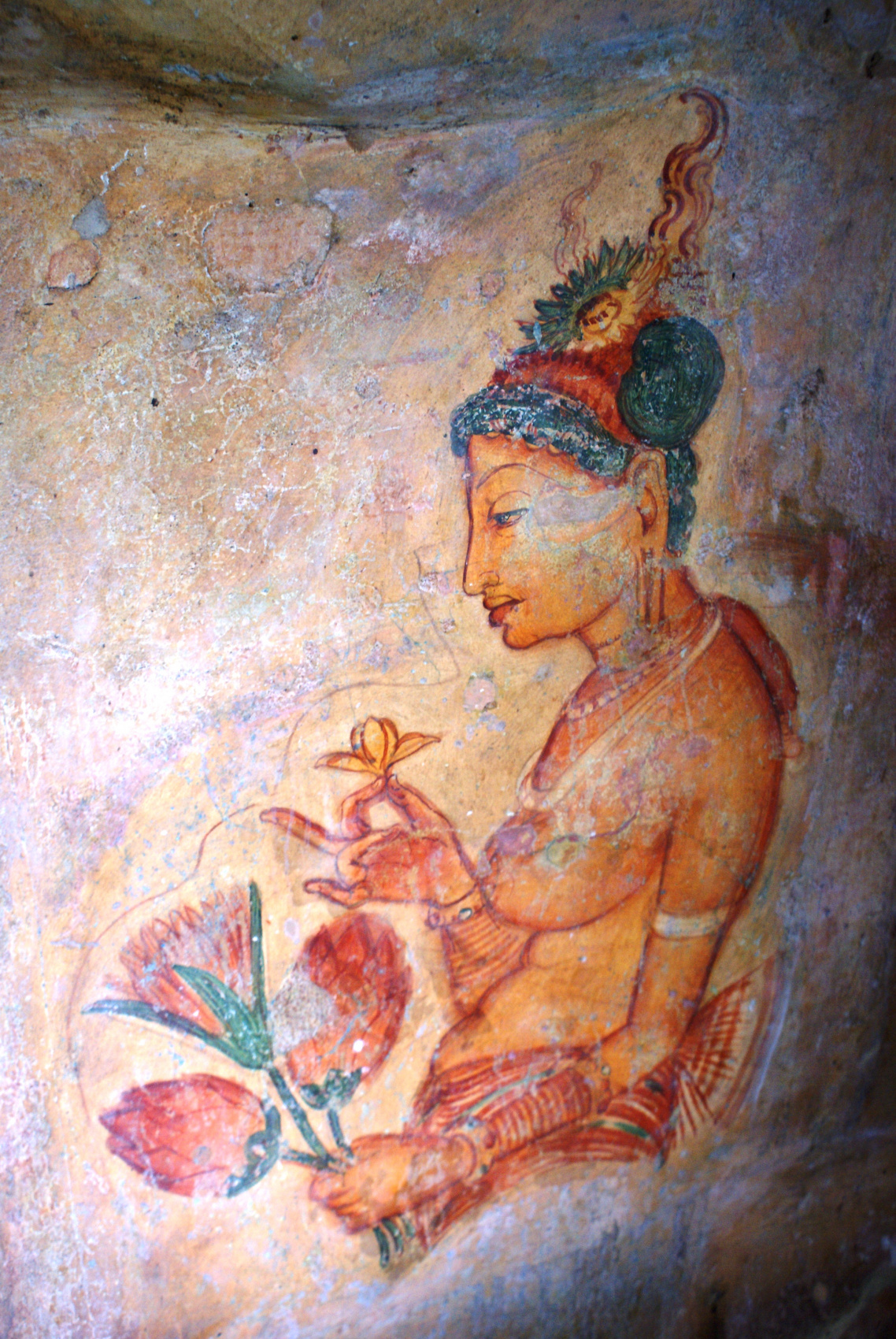 Экотрип на Шри-Ланку (42/86)