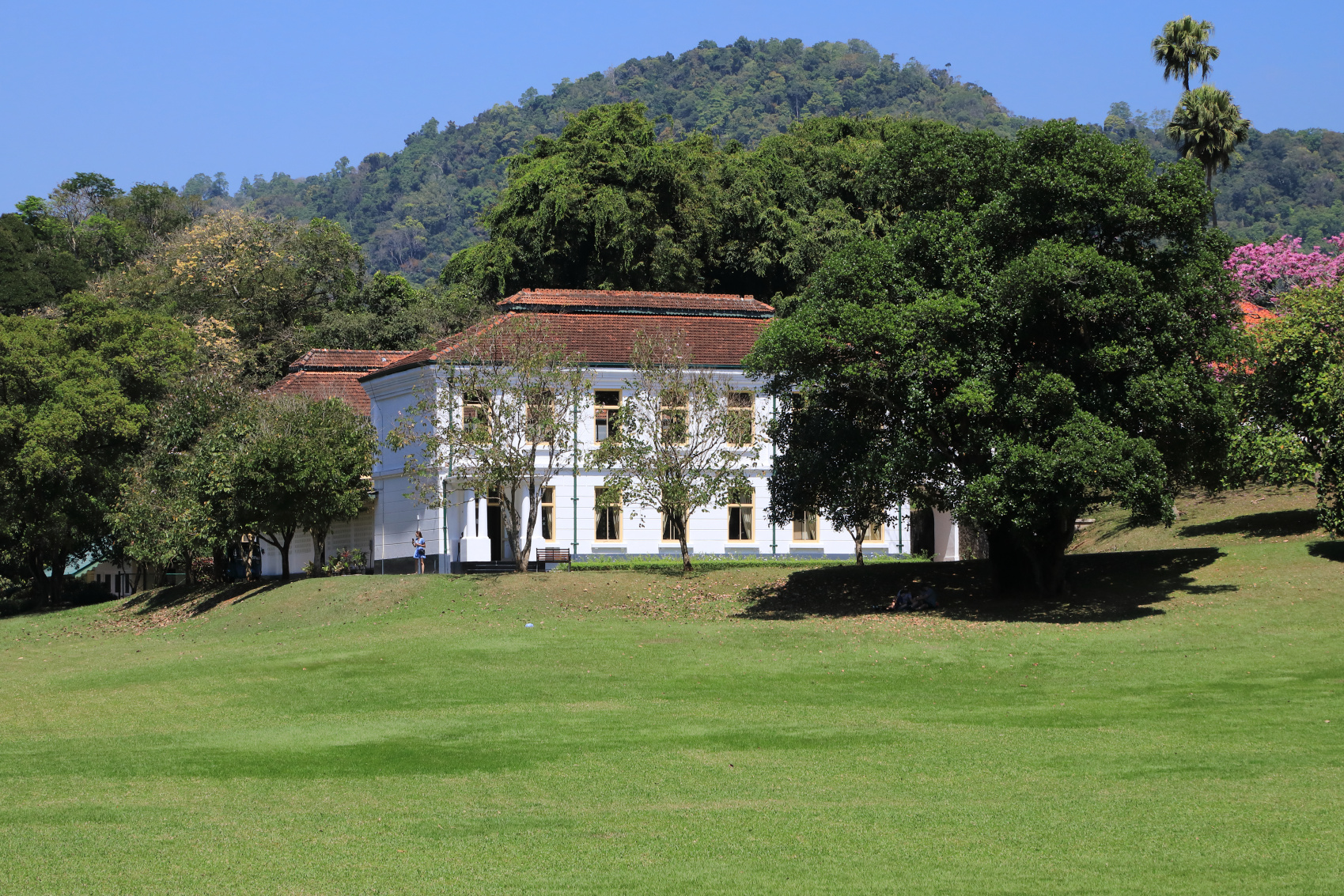 Экотрип на Шри-Ланку (47/86)