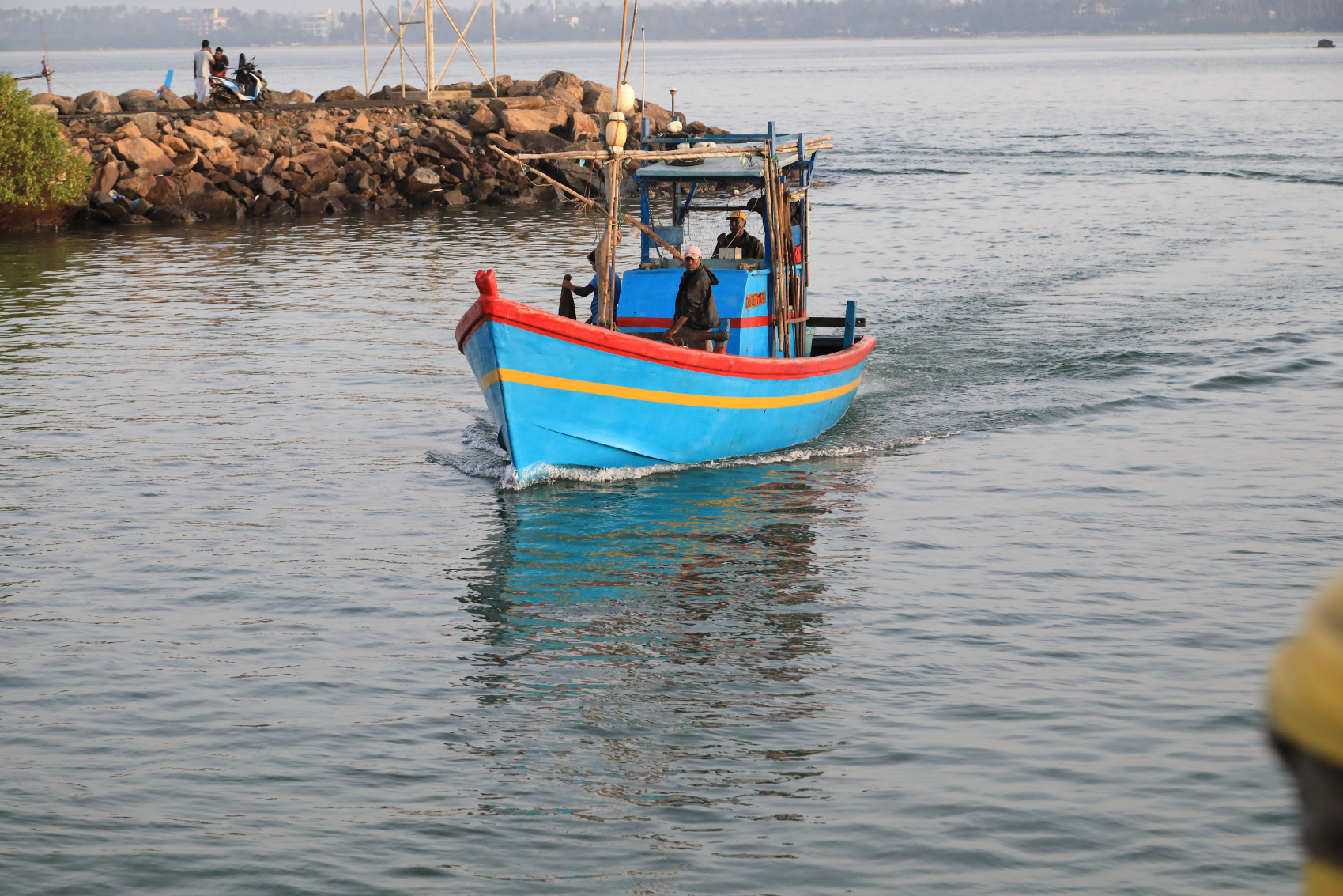 Экотрип на Шри-Ланку (52/86)