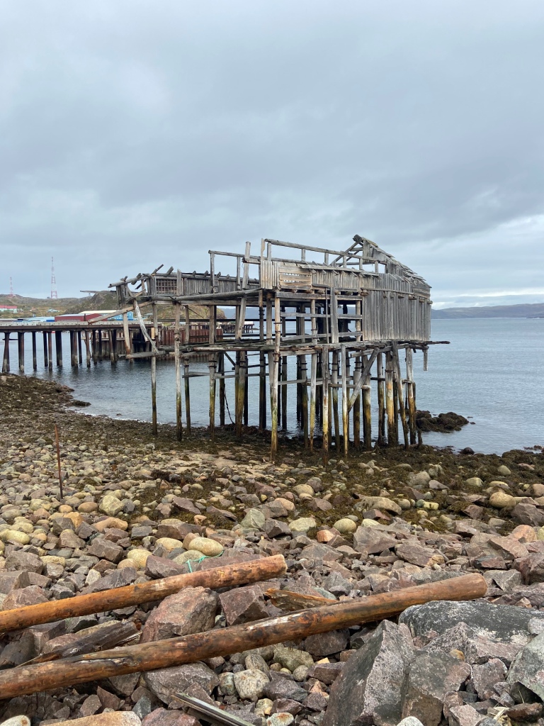 Арктический уик-энд под Северным Сиянием - Териберка, Олени и Хаски (5/58)
