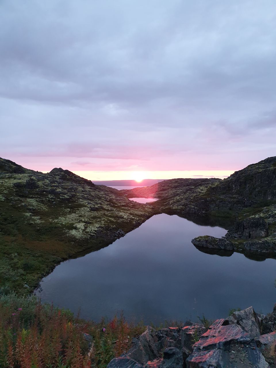 Арктический уик-энд под Северным Сиянием - Териберка, Олени и Хаски (19/58)