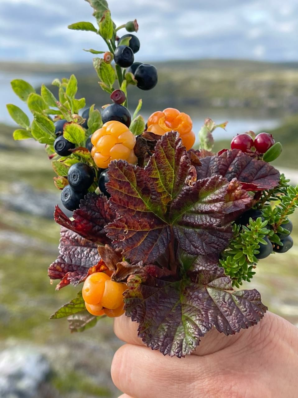Арктический уик-энд под Северным Сиянием - Териберка, Олени и Хаски (26/58)