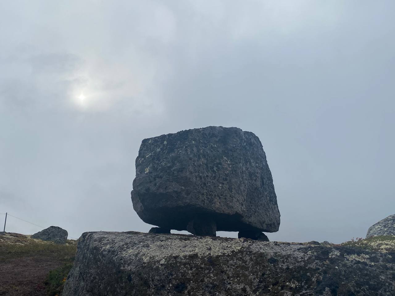 Арктический уик-энд под Северным Сиянием - Териберка, Олени и Хаски (28/58)
