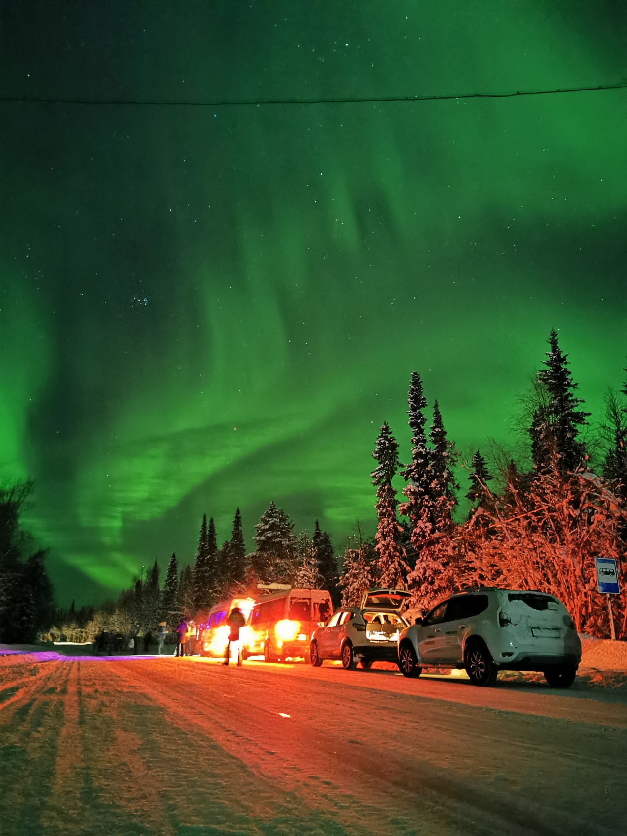 Арктический уик-энд под Северным Сиянием - Териберка, Олени и Хаски (11/58)