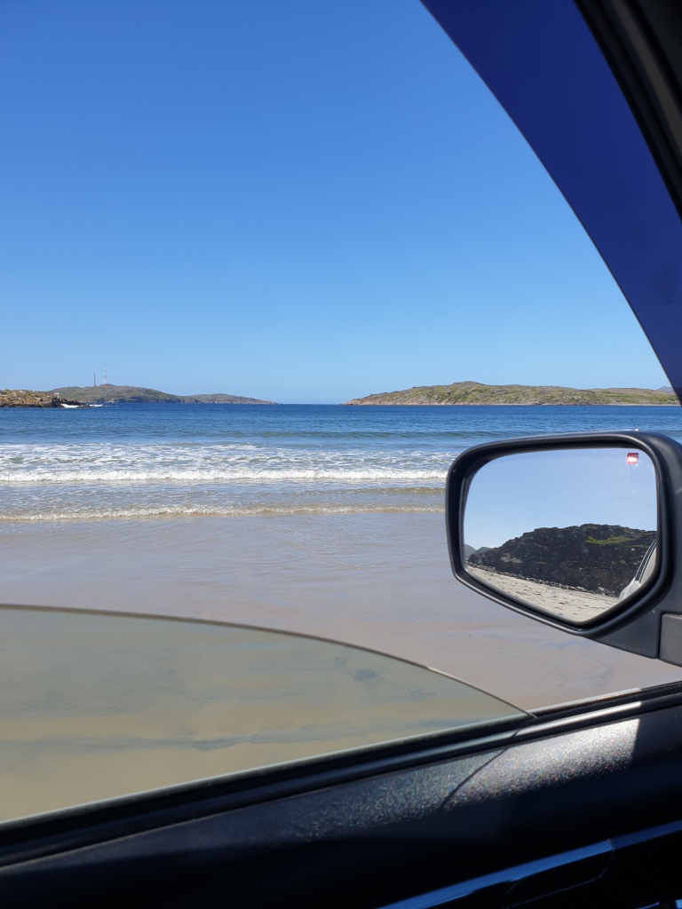 Арктический уик-энд под Северным Сиянием - Териберка, Олени и Хаски (15/58)