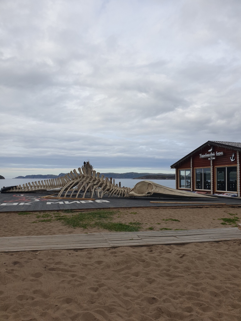 Арктический уик-энд под Северным Сиянием - Териберка, Олени и Хаски (14/58)