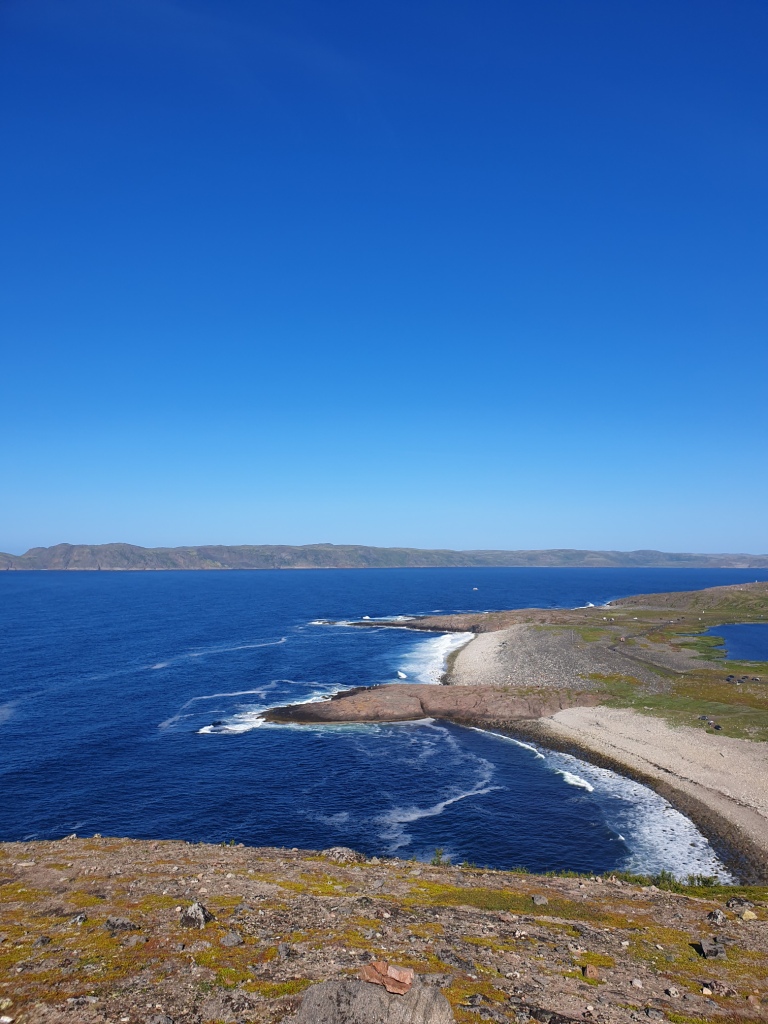 Арктический уик-энд под Северным Сиянием - Териберка, Олени и Хаски (16/58)