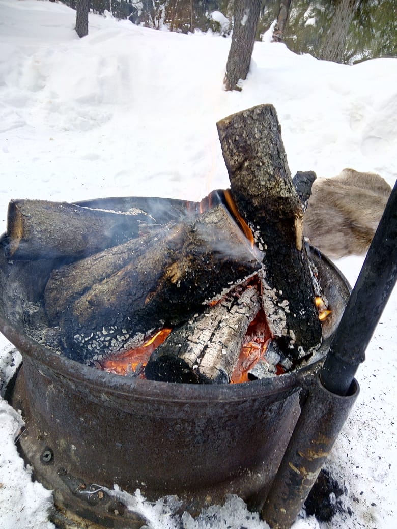 Арктический уик-энд под Северным Сиянием - Териберка, Олени и Хаски (44/58)