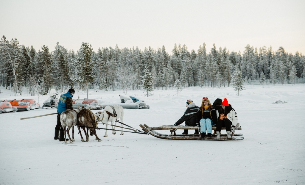 Арктический уик-энд под Северным Сиянием - Териберка, Олени и Хаски (4/58)
