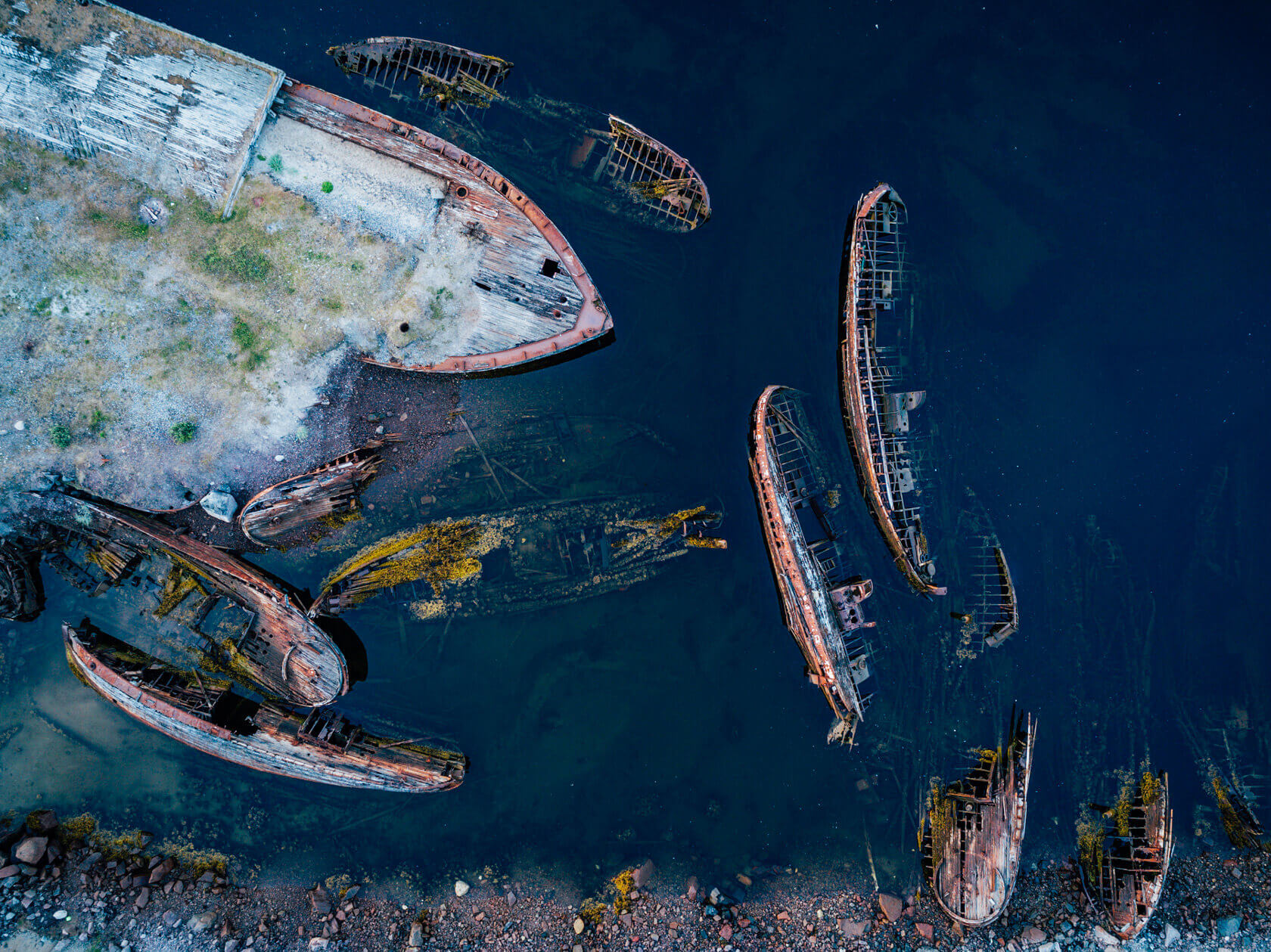 Арктический уик-энд под Северным Сиянием - Териберка, Олени и Хаски (8/58)