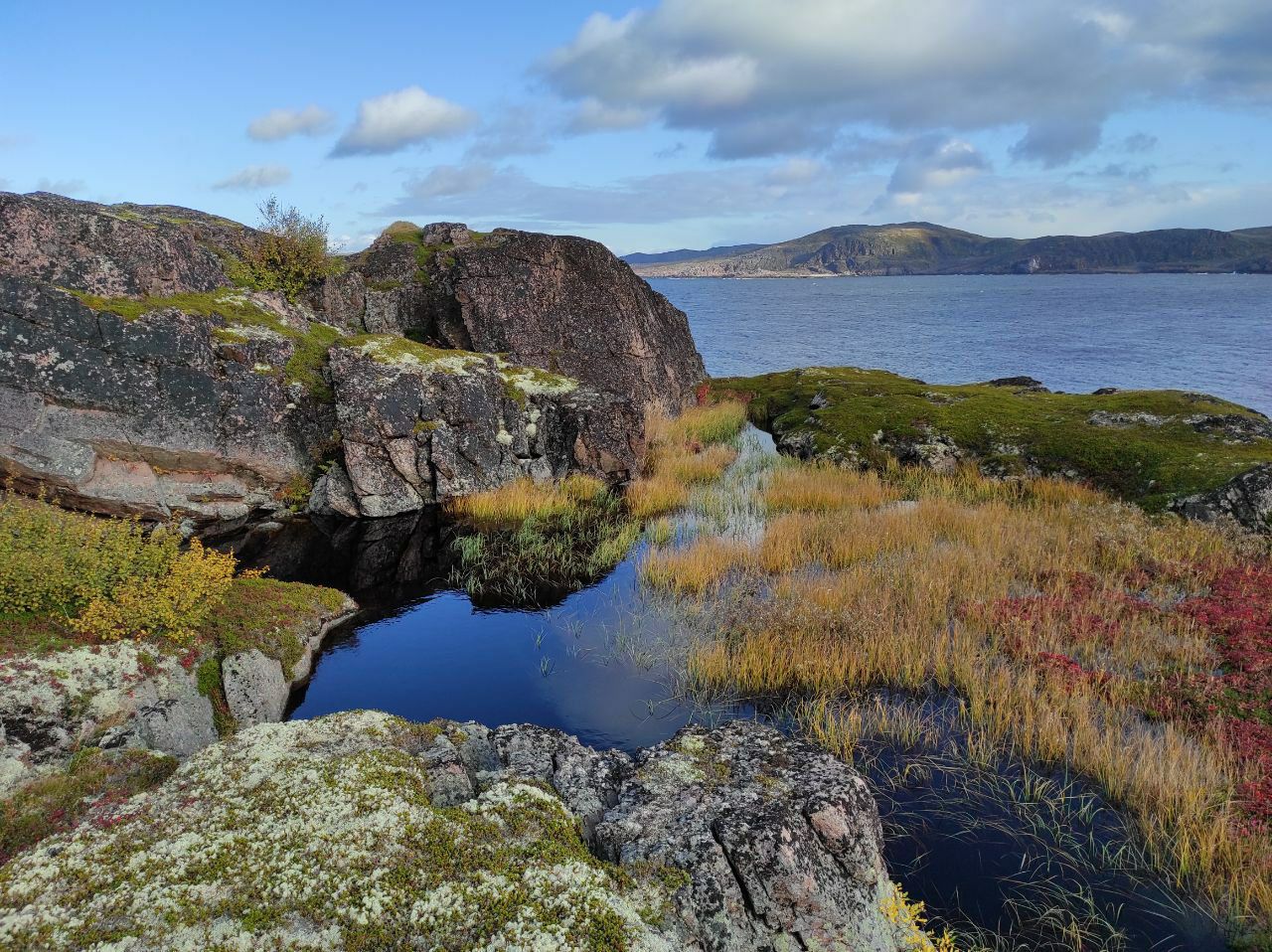 Арктический уик-энд под Северным Сиянием - Териберка, Олени и Хаски (29/58)