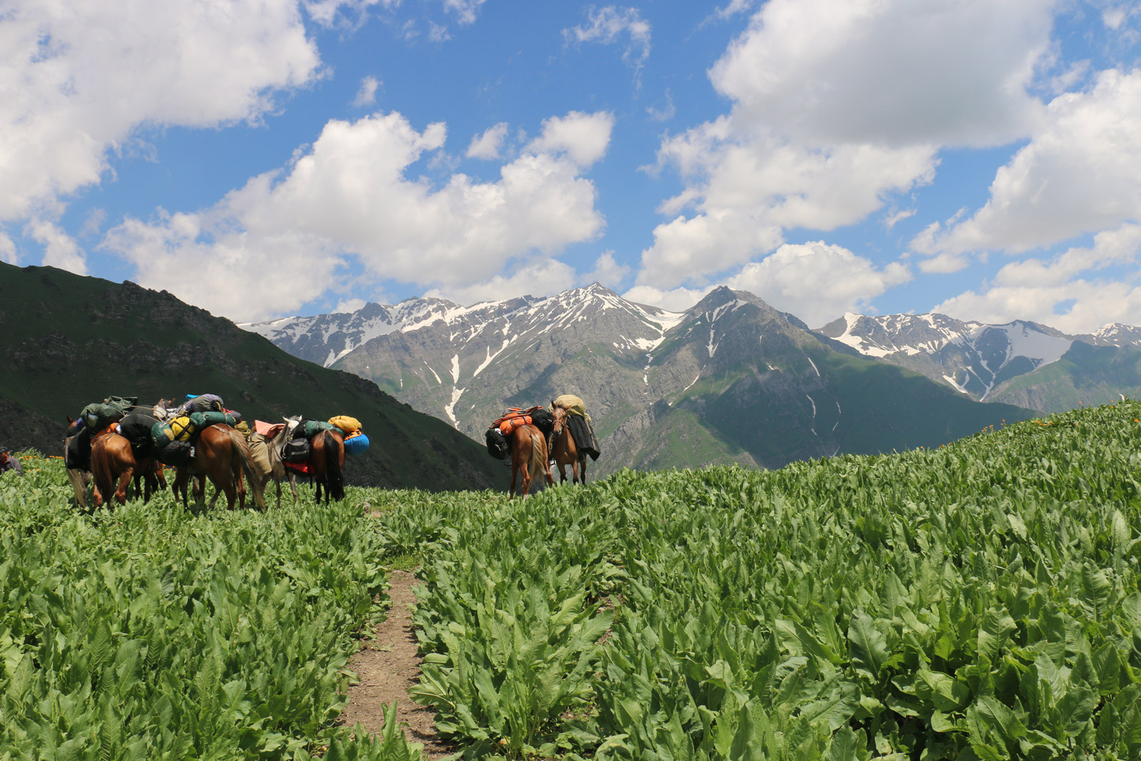 Красивейший треккинг налегке к озеру Сары-Челек - жемчужине Тянь-Шаня. (27/57)