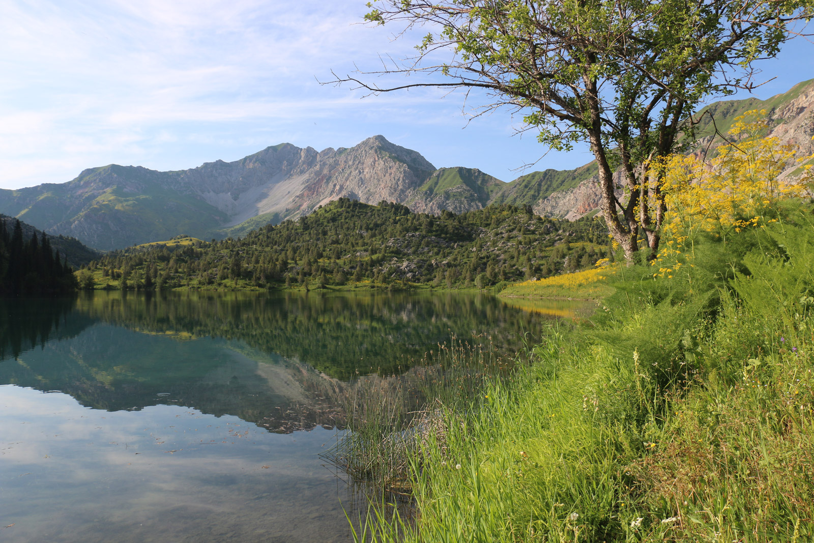 Красивейший треккинг налегке к озеру Сары-Челек - жемчужине Тянь-Шаня. (17/57)
