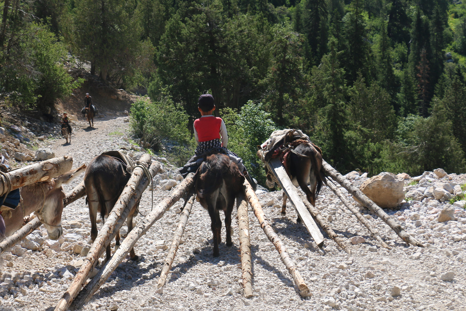 Красивейший треккинг налегке к озеру Сары-Челек - жемчужине Тянь-Шаня. (16/57)