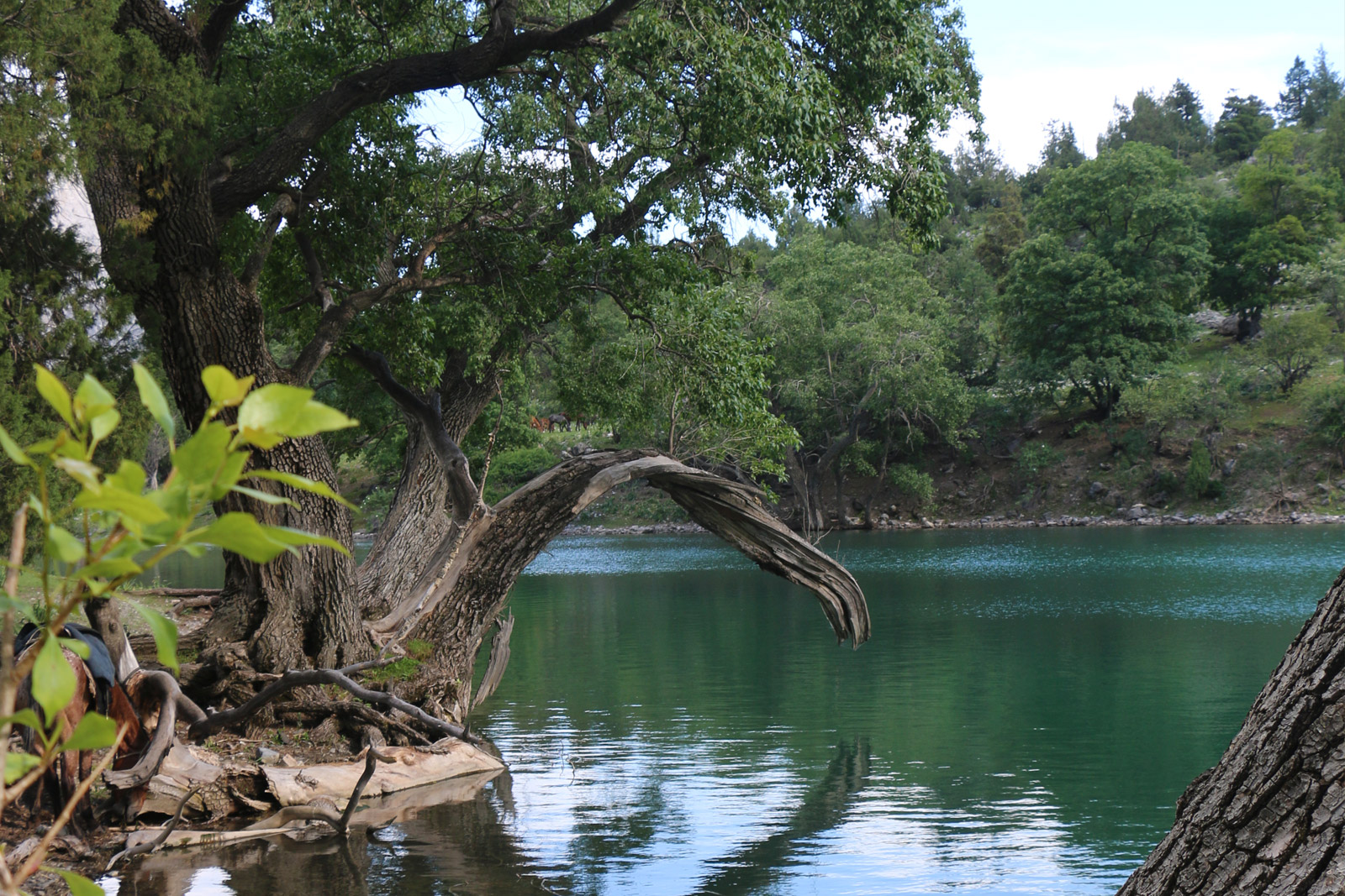 Красивейший треккинг налегке к озеру Сары-Челек - жемчужине Тянь-Шаня. (12/57)