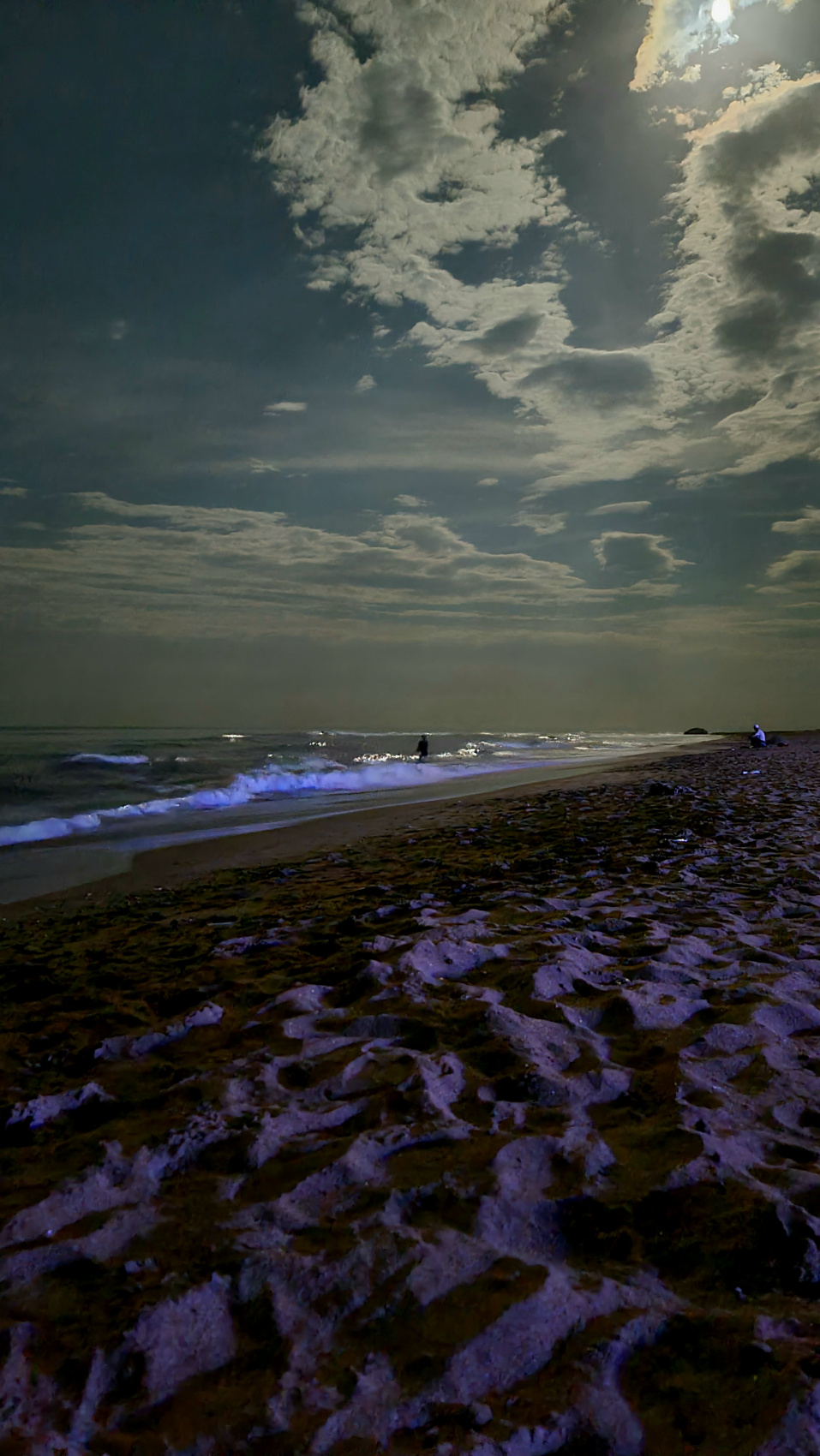 Краски Дагестана (70/103)