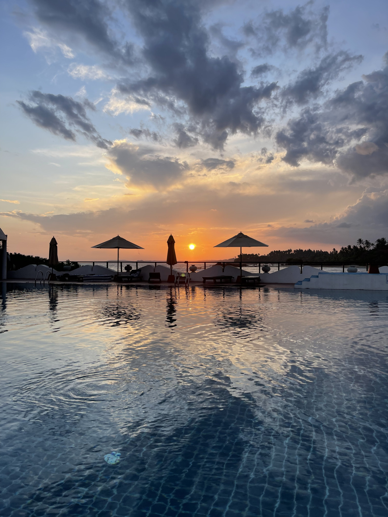 Приключения на Шри-Ланке (84/173)