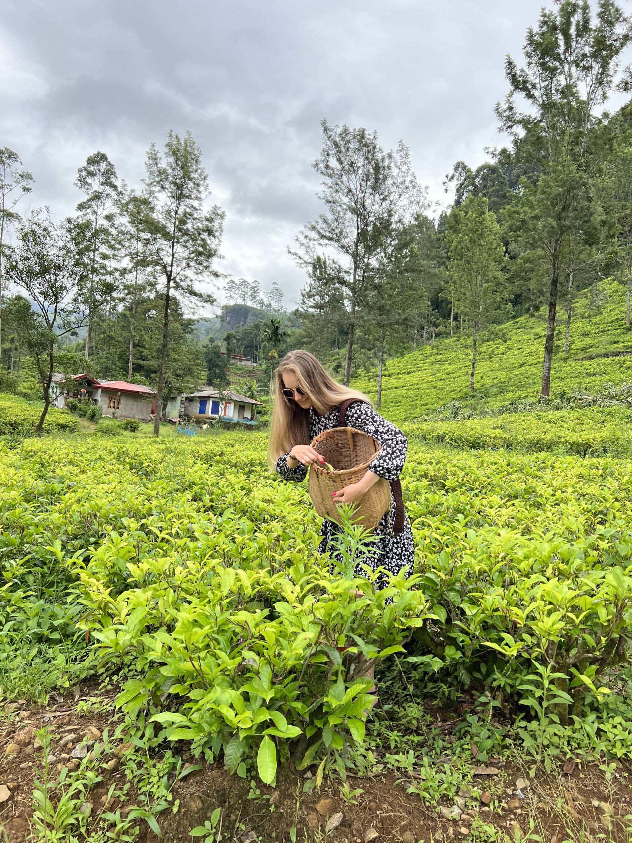 Приключения на Шри-Ланке (105/173)