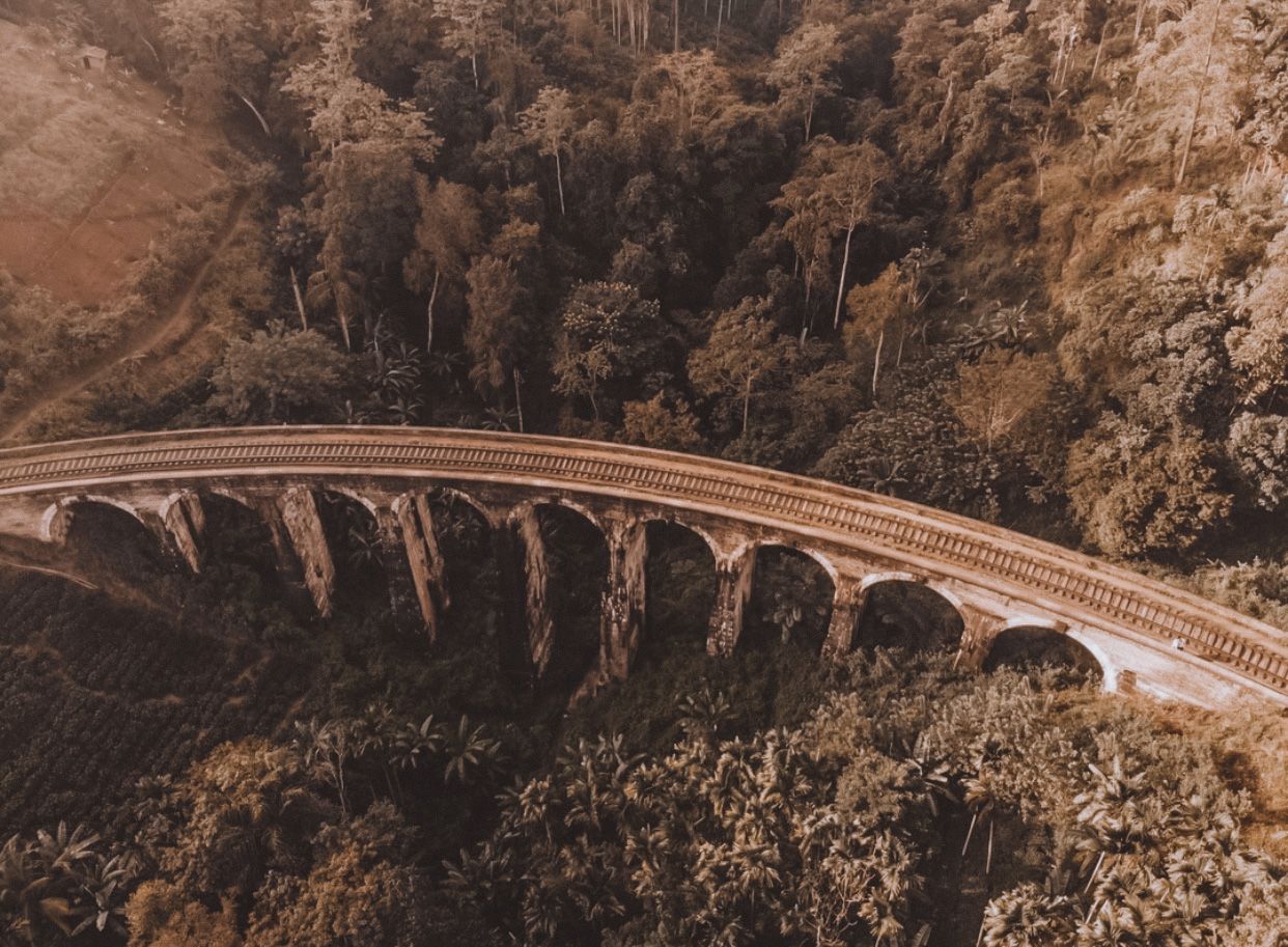 Приключения на Шри-Ланке (5/173)