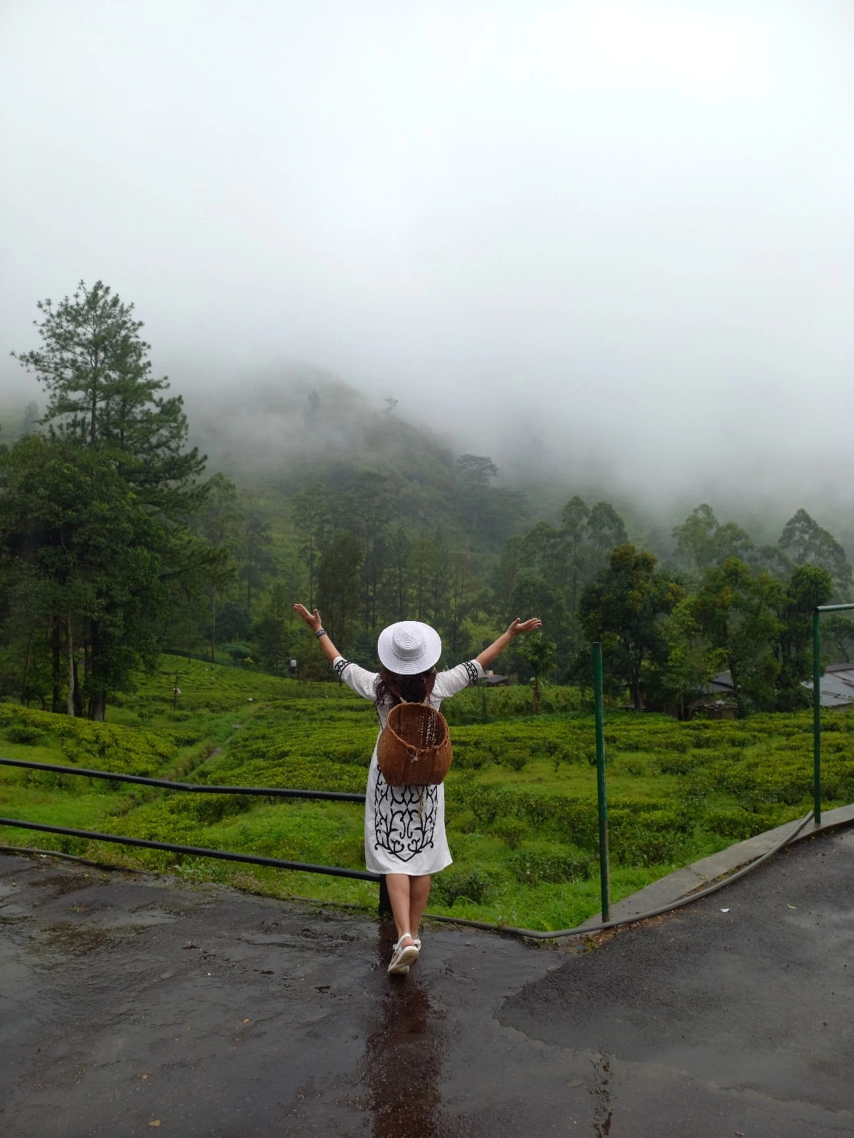 Приключения на Шри-Ланке (133/173)