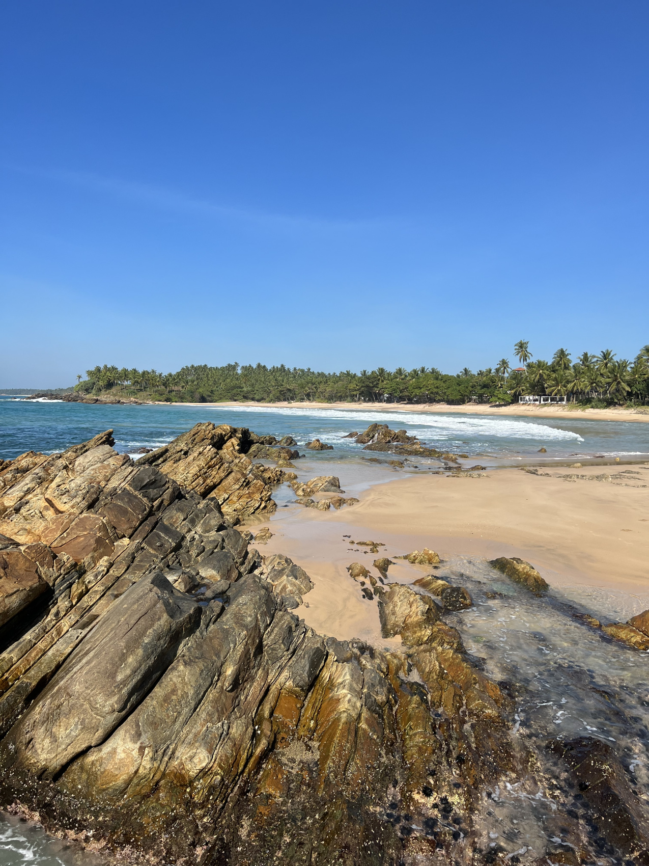 Приключения на Шри-Ланке (22/173)