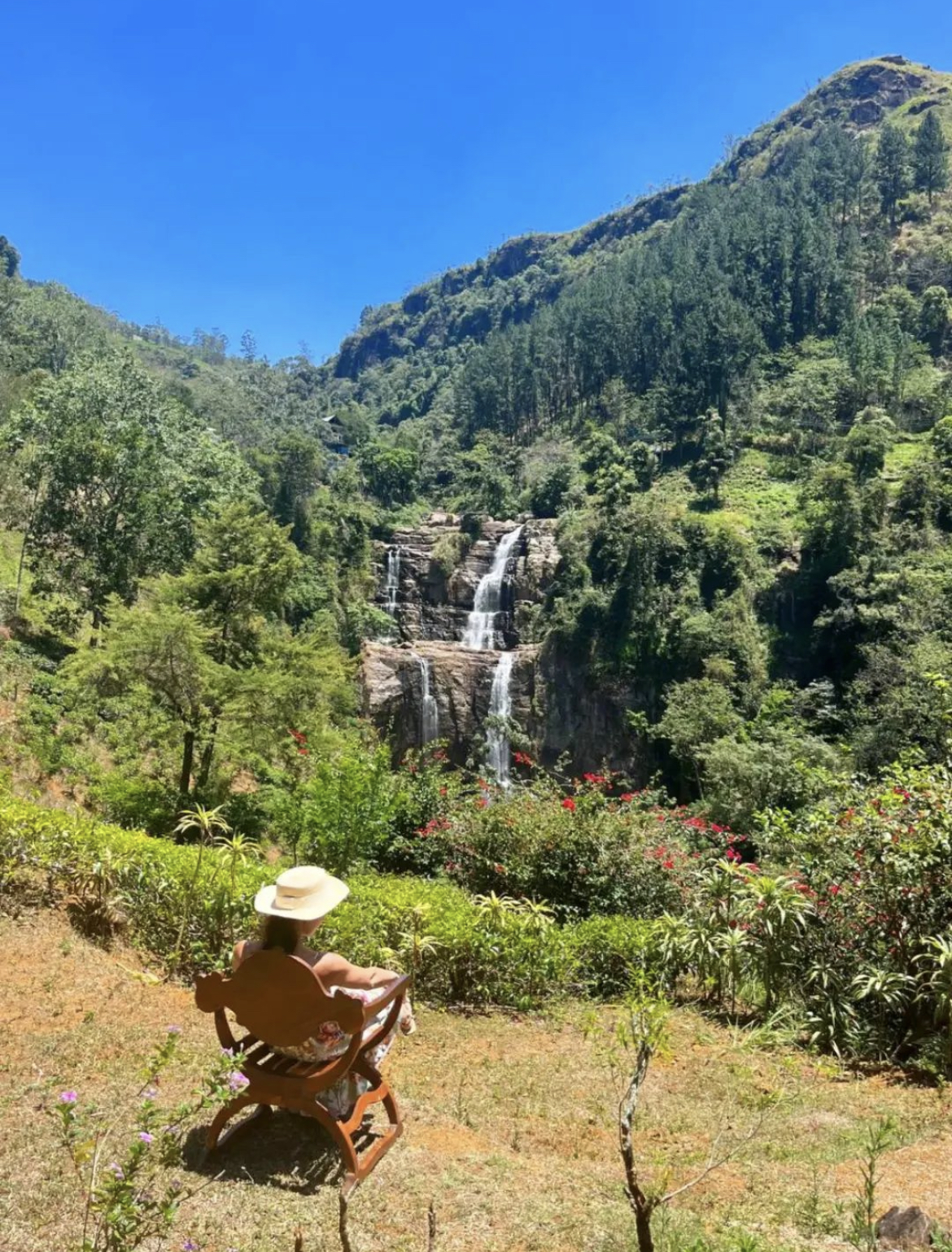 Приключения на Шри-Ланке (80/173)