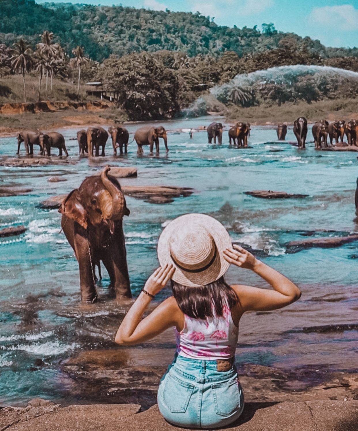 Приключения на Шри-Ланке (8/173)