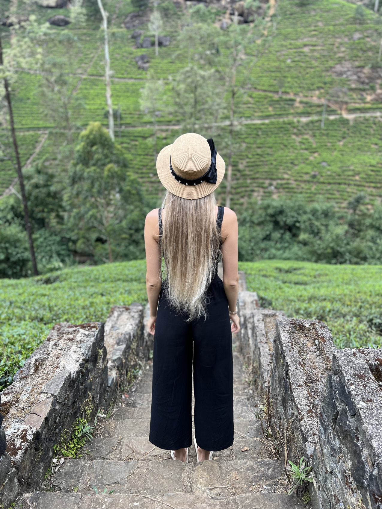 Приключения на Шри-Ланке (63/173)