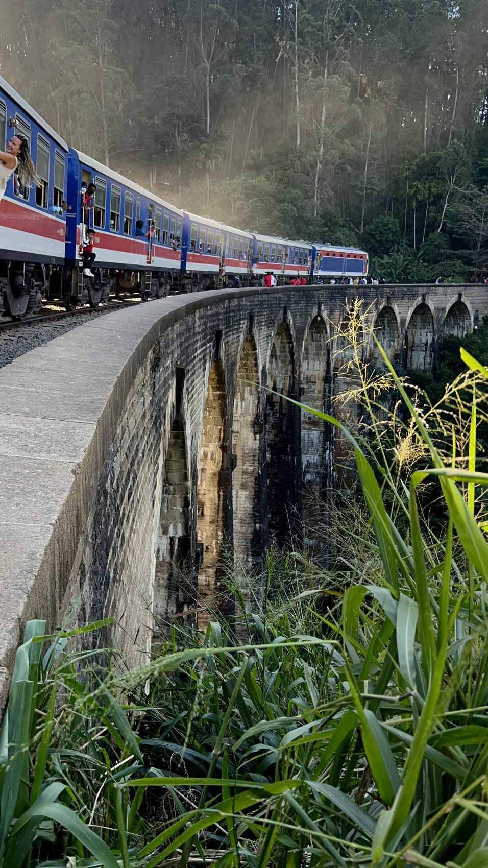 Приключения на Шри-Ланке (18/173)