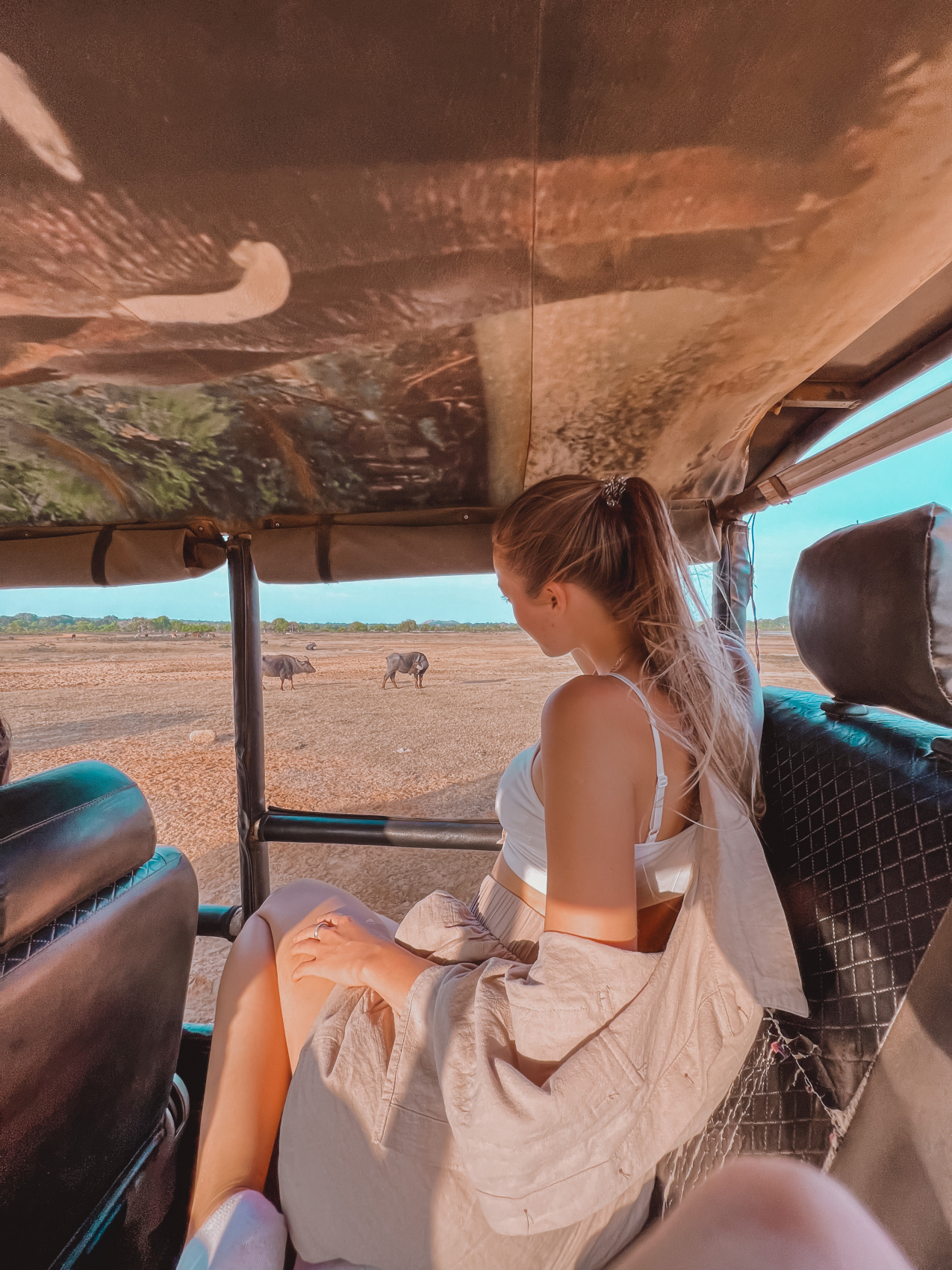 Приключения на Шри-Ланке (90/173)