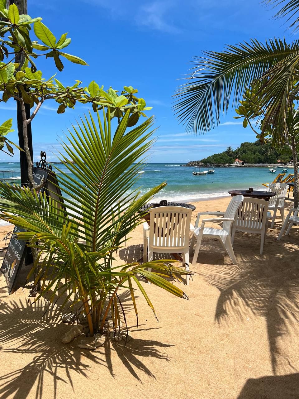 Приключения на Шри-Ланке (121/173)