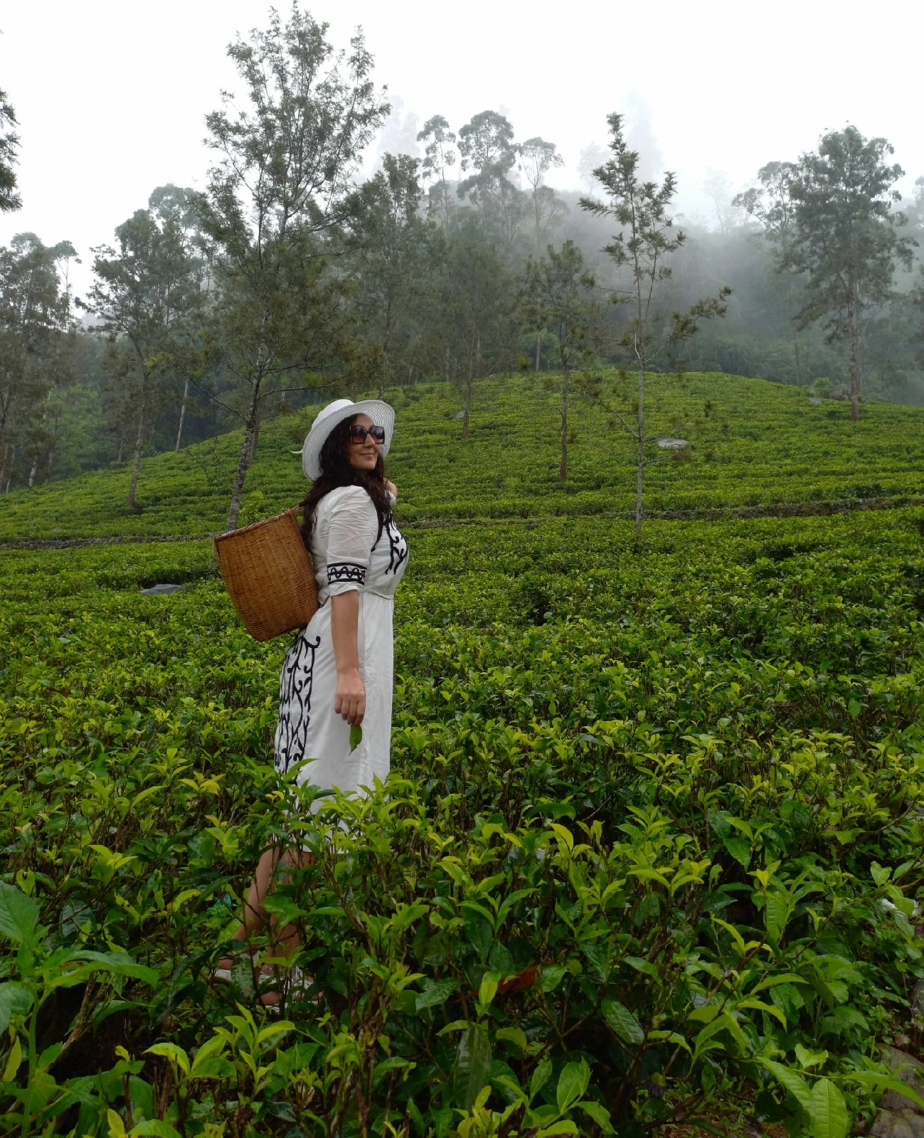 Приключения на Шри-Ланке (132/173)