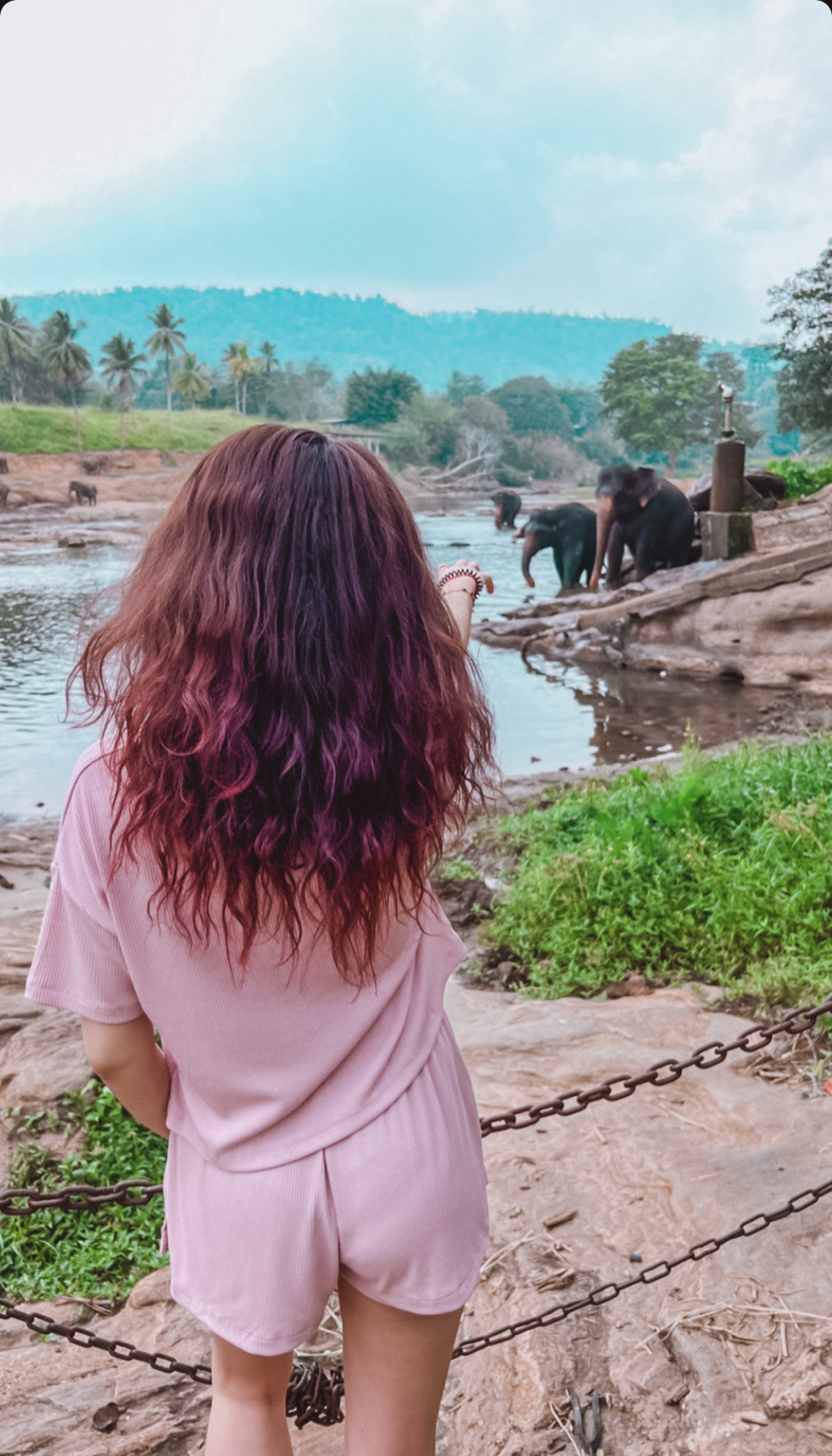 Приключения на Шри-Ланке (26/173)