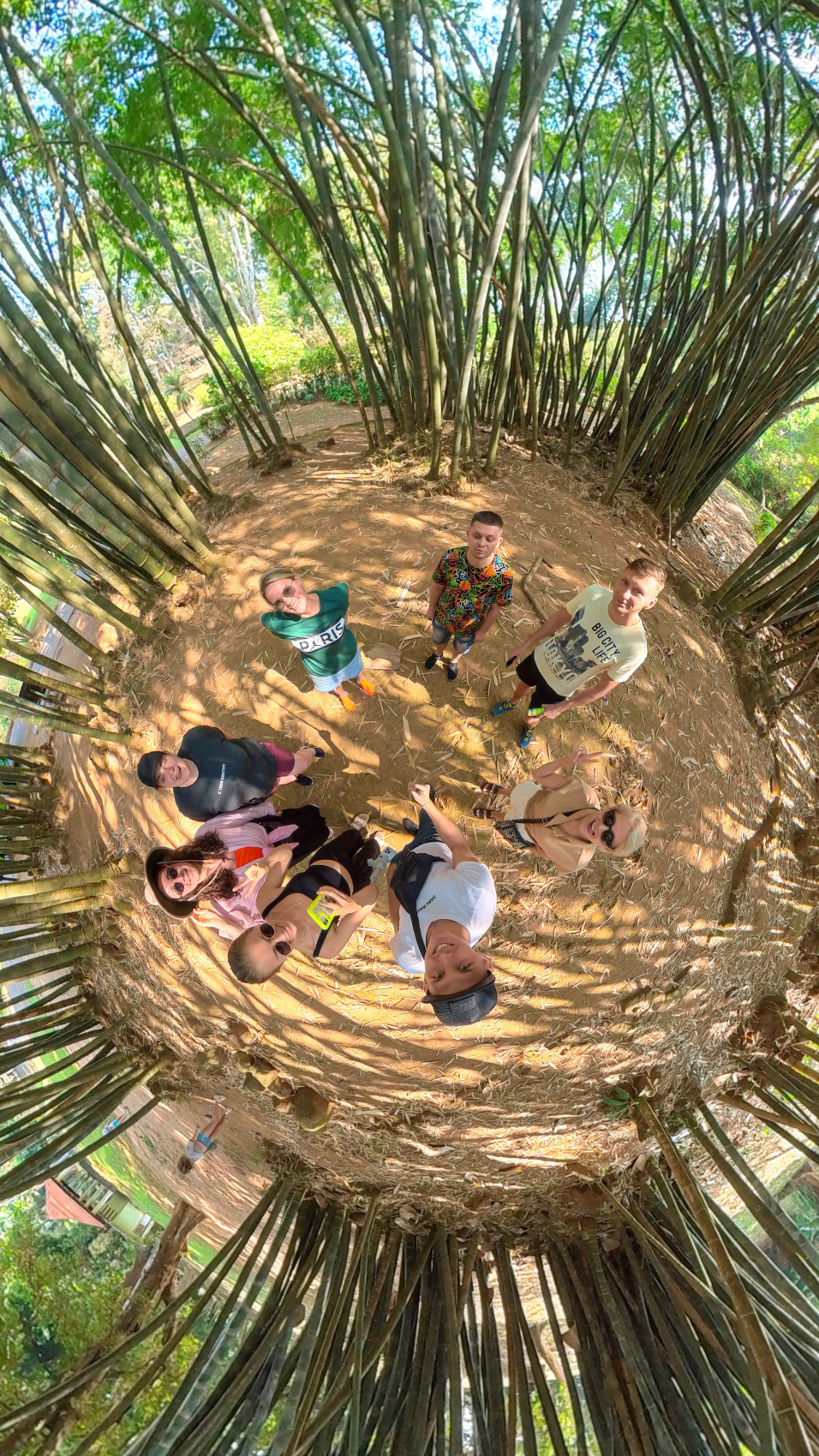 Приключения на Шри-Ланке (49/173)