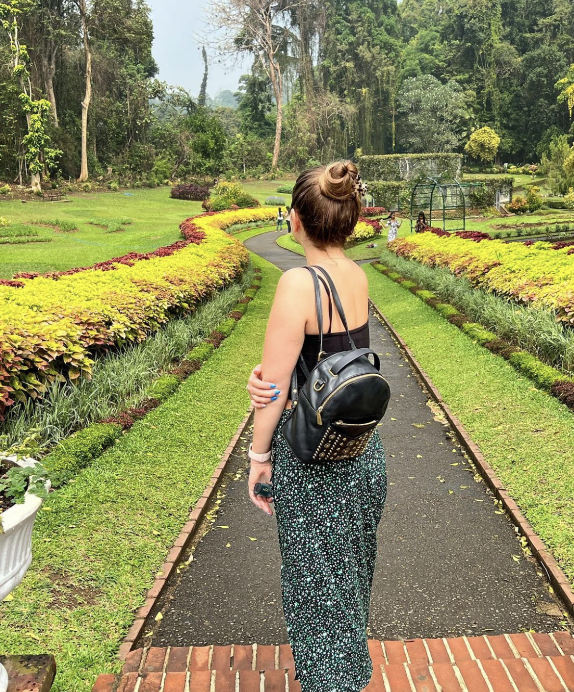 Приключения на Шри-Ланке (44/173)