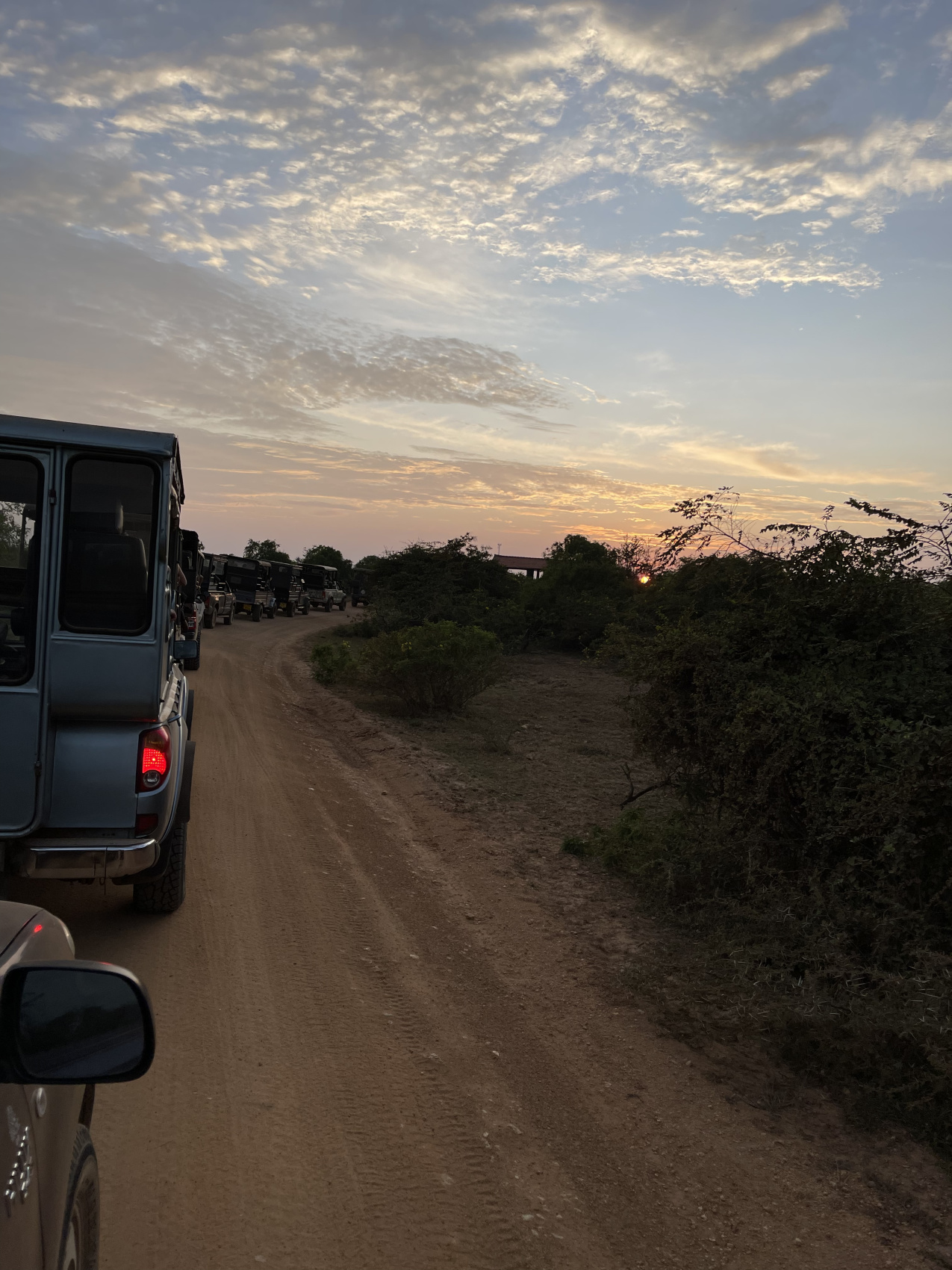 Приключения на Шри-Ланке (88/173)