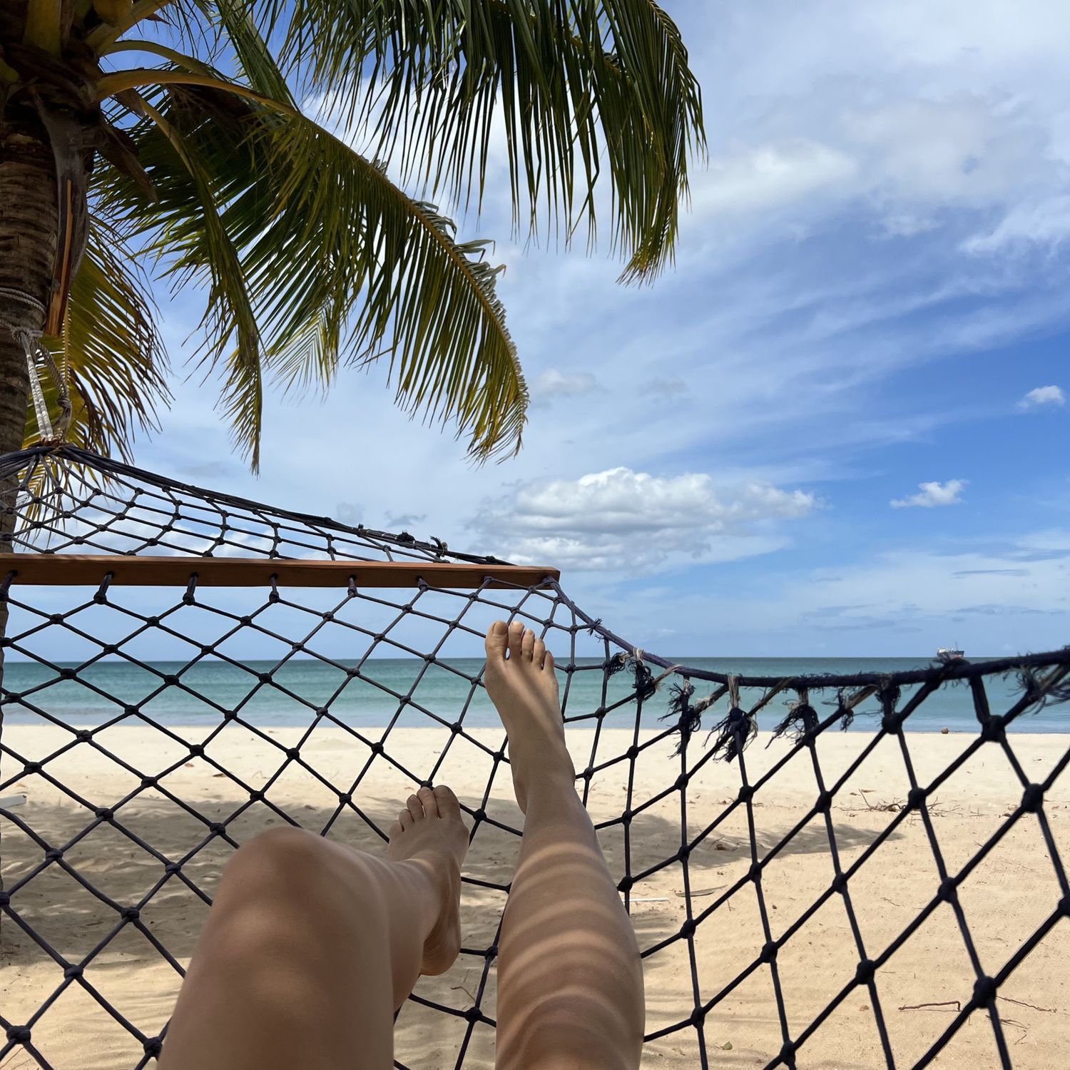 Приключения на Шри-Ланке (129/173)