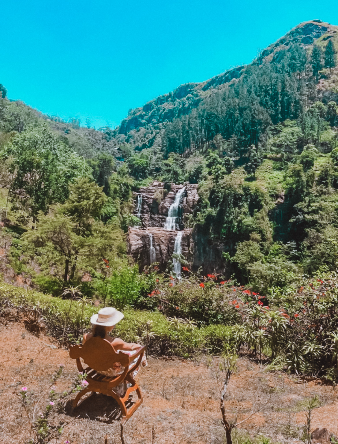 Приключения на Шри-Ланке (39/173)