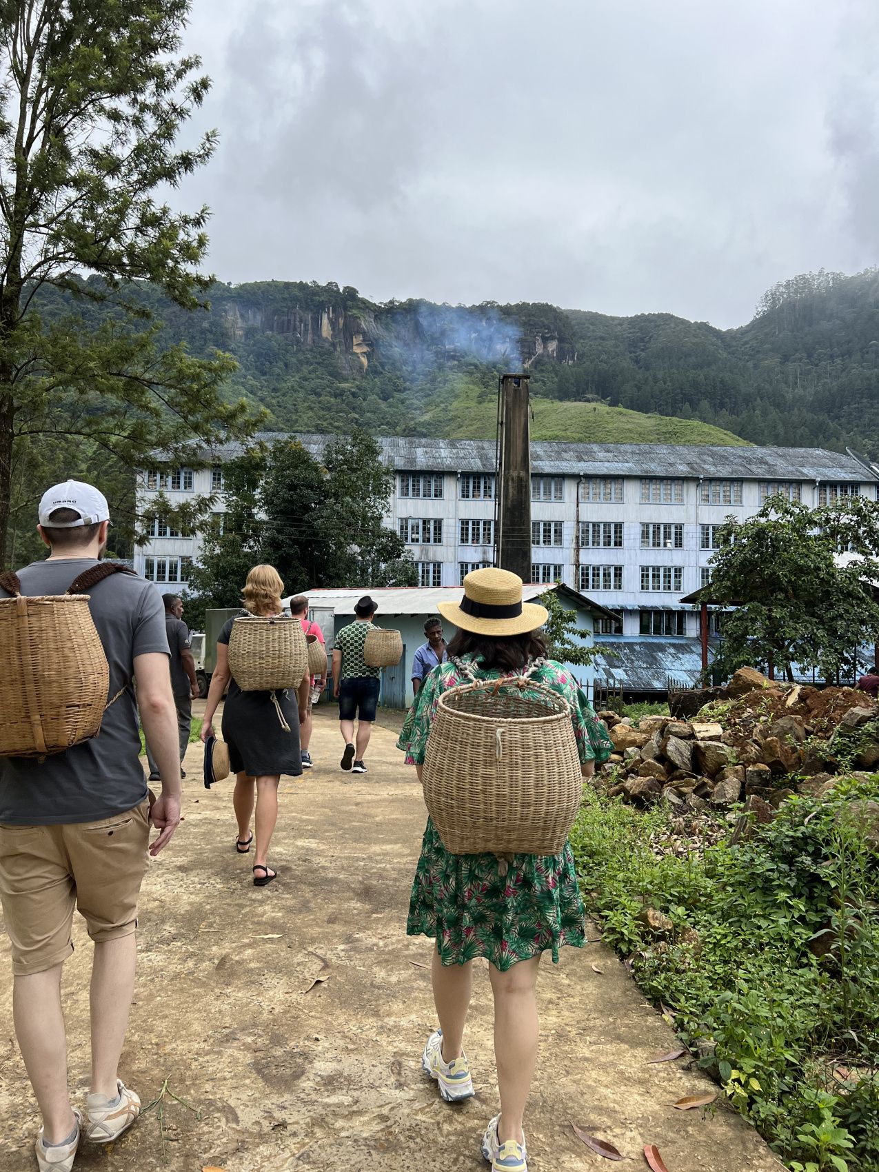 Приключения на Шри-Ланке (104/173)