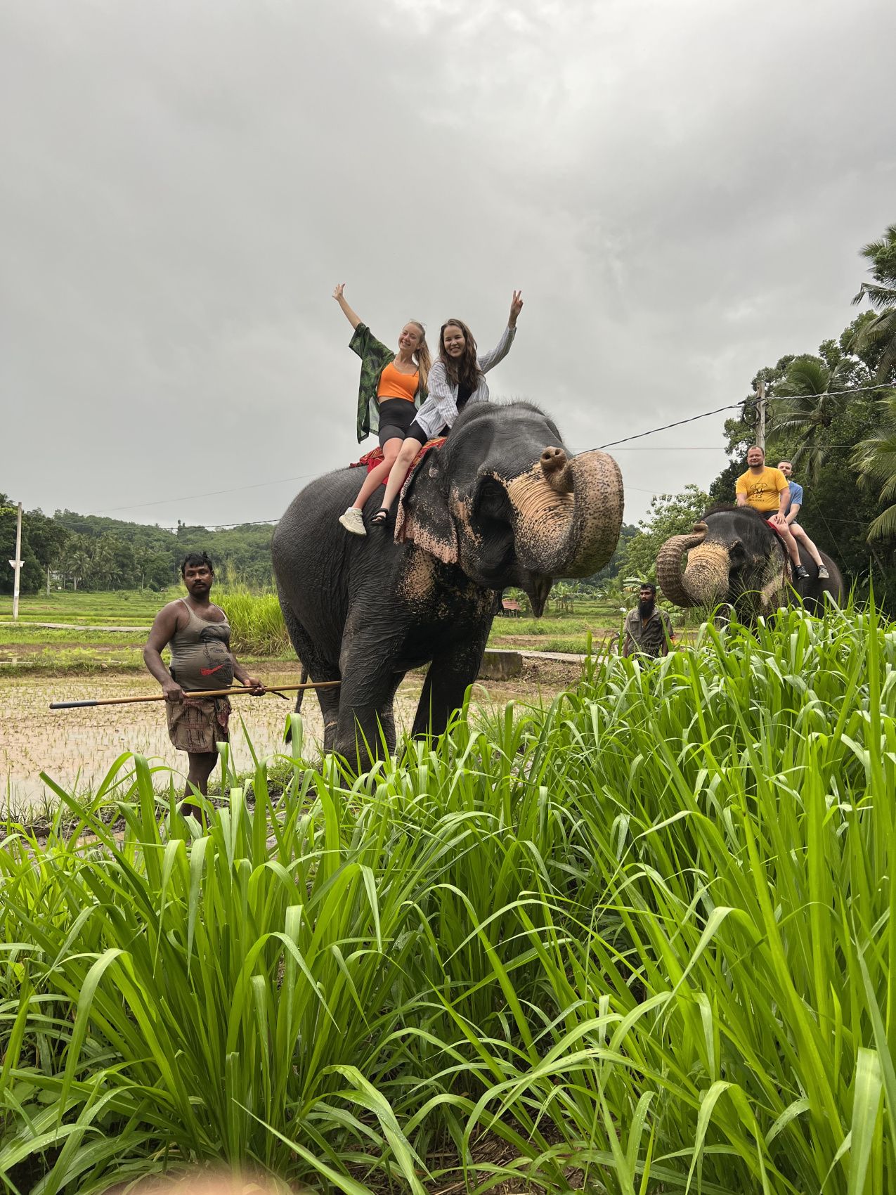 Приключения на Шри-Ланке (118/173)
