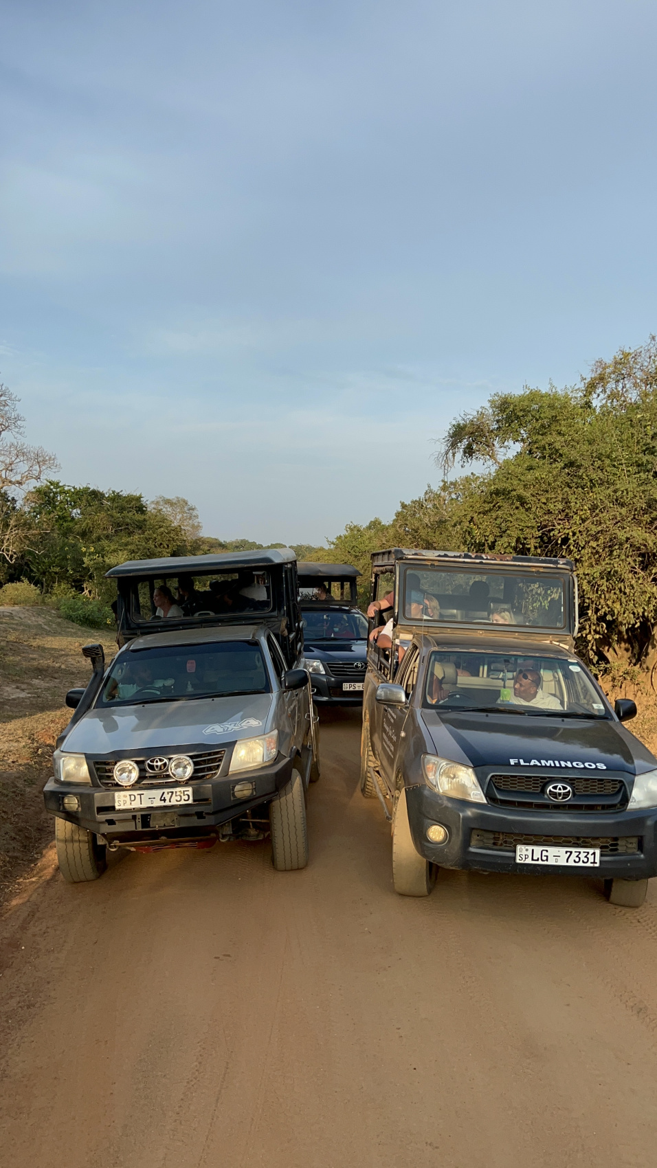 Приключения на Шри-Ланке (91/173)