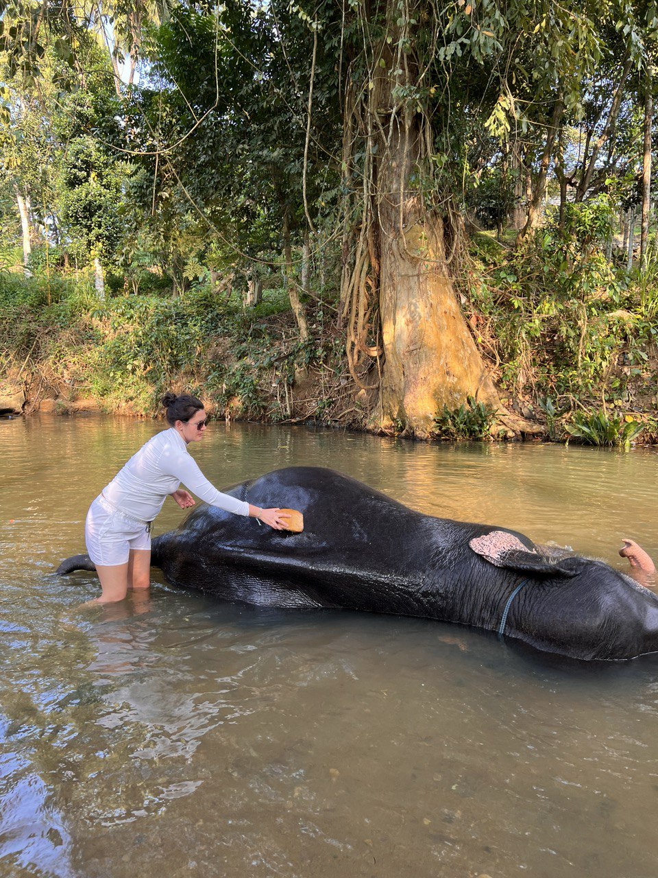 Приключения на Шри-Ланке (143/173)