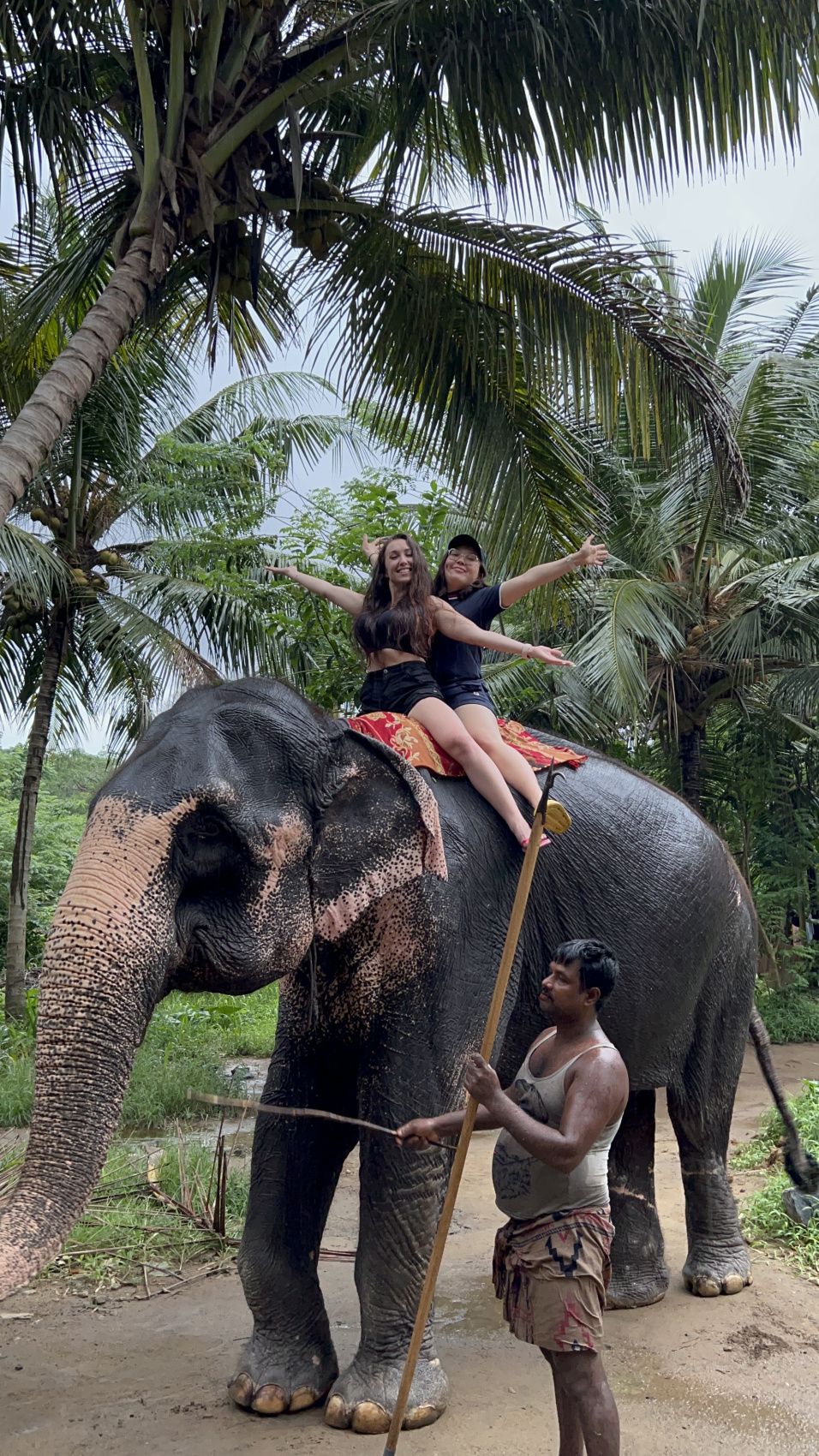 Приключения на Шри-Ланке (120/173)