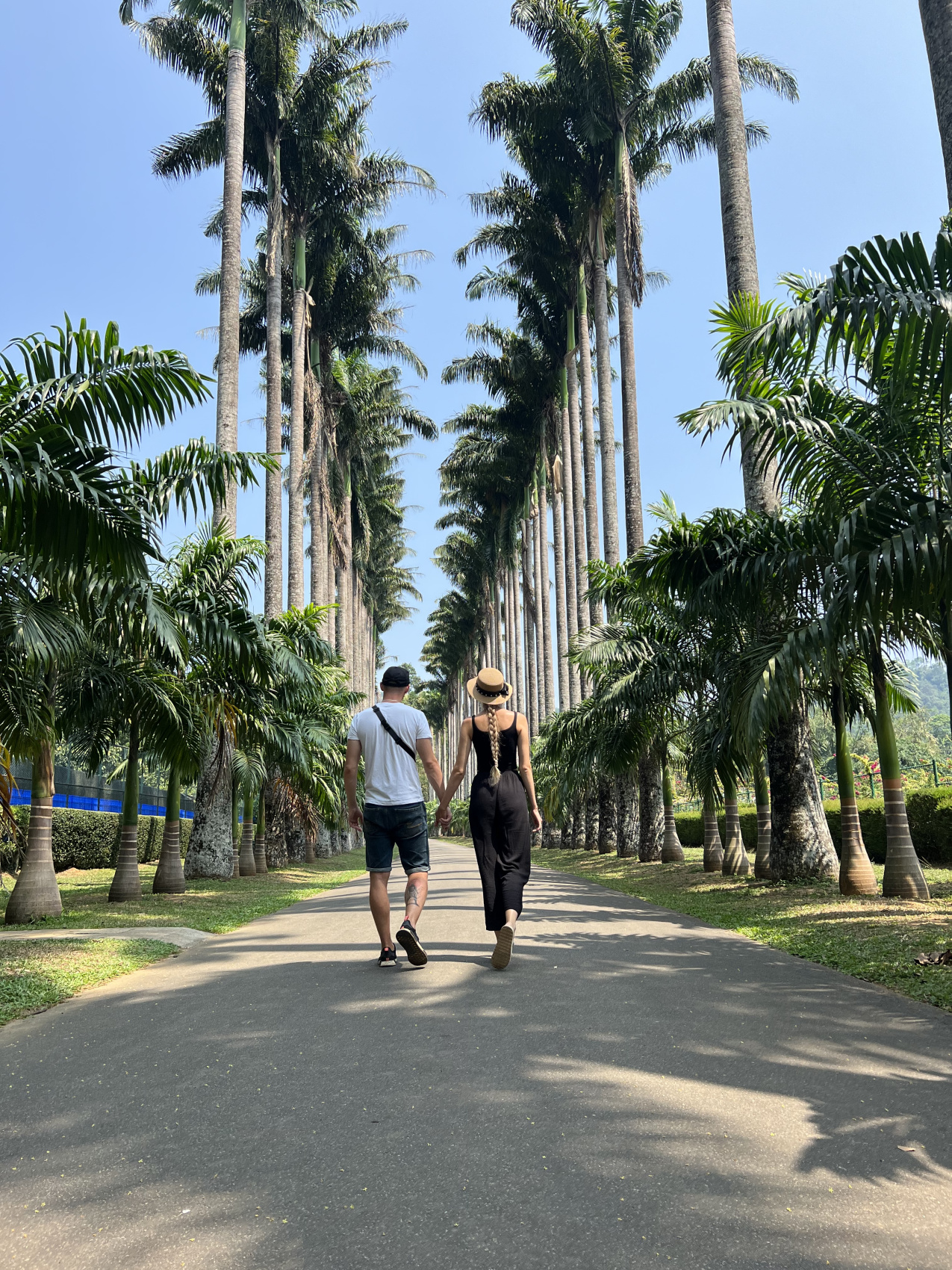 Приключения на Шри-Ланке (70/173)