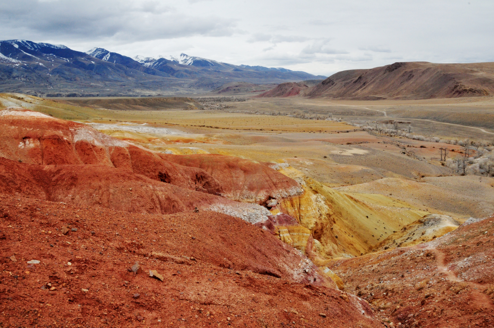 Цветущий Алтай, экспресс-тур для ценителей красоты (5/33)