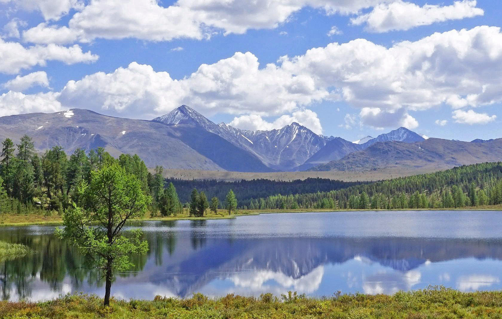 Цветущий Алтай, экспресс-тур для ценителей красоты (2/33)